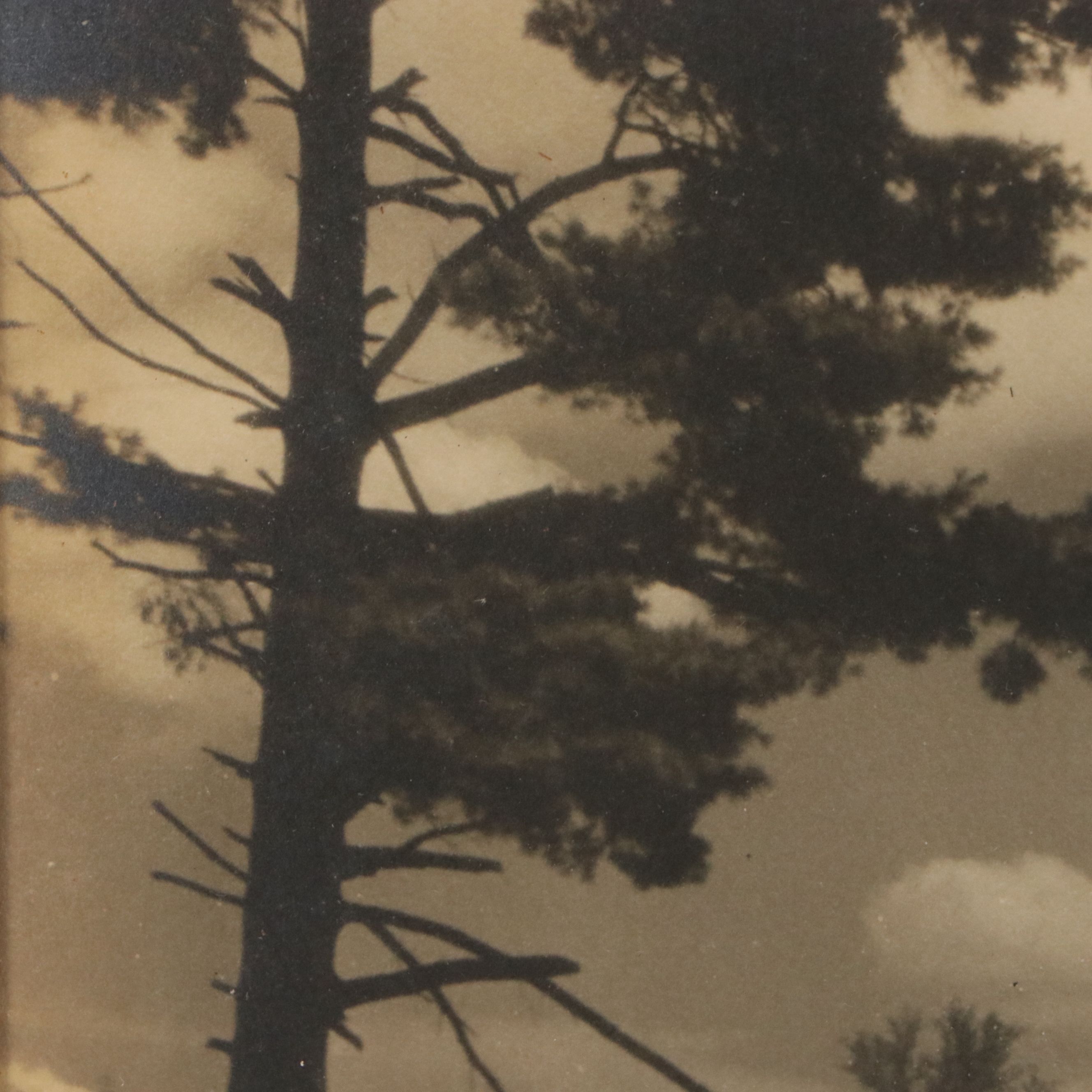 Sid Marean Photograph "Off the Main Road" and Other Prints