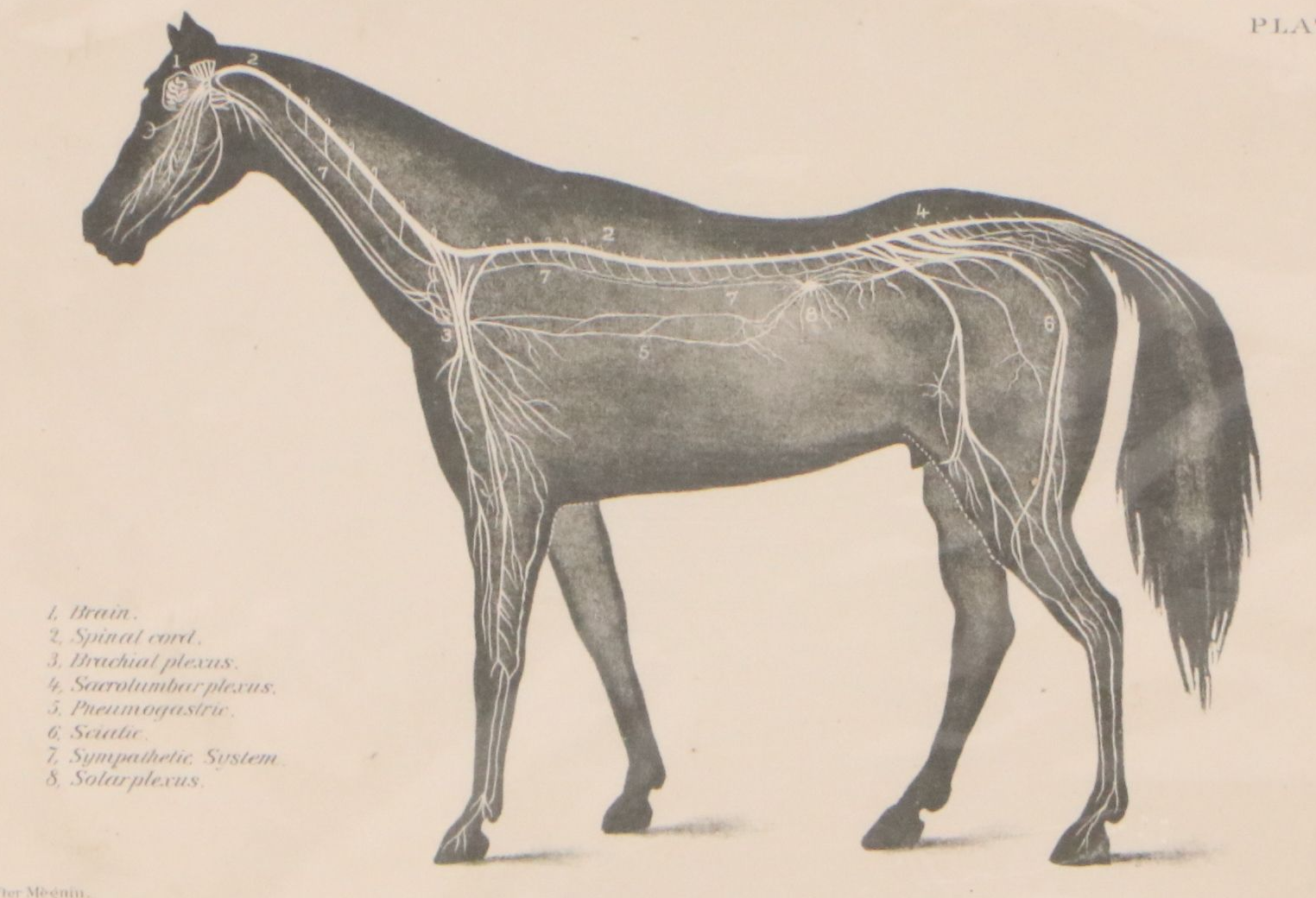 Sid Marean Photograph "Off the Main Road" and Other Prints