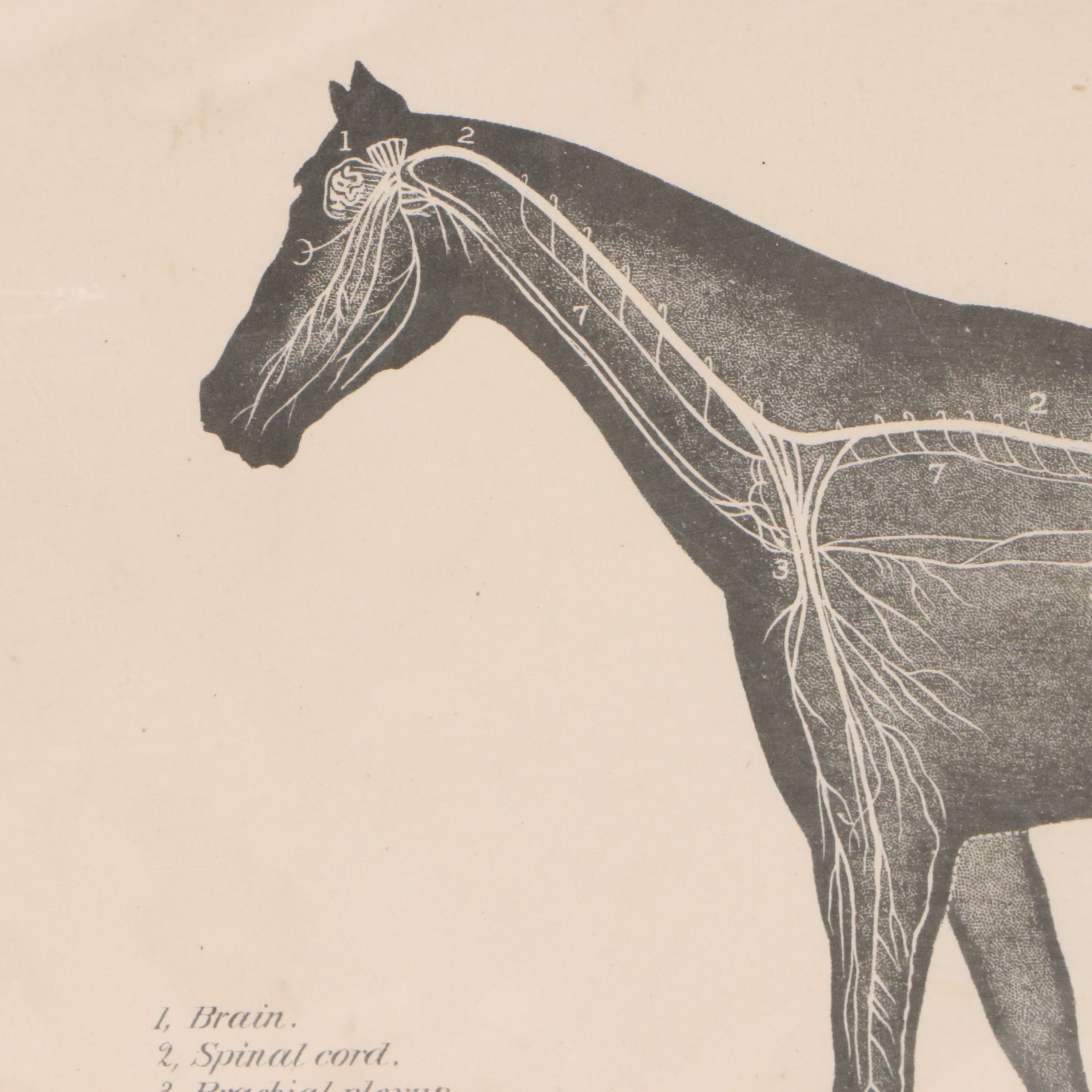 Sid Marean Photograph "Off the Main Road" and Other Prints