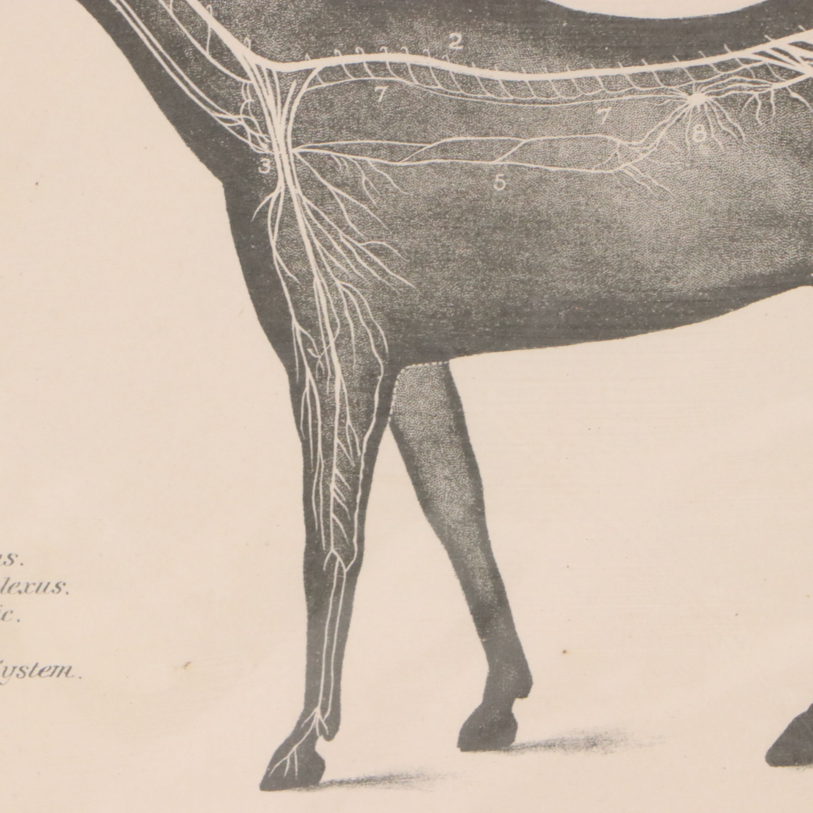 Sid Marean Photograph "Off the Main Road" and Other Prints