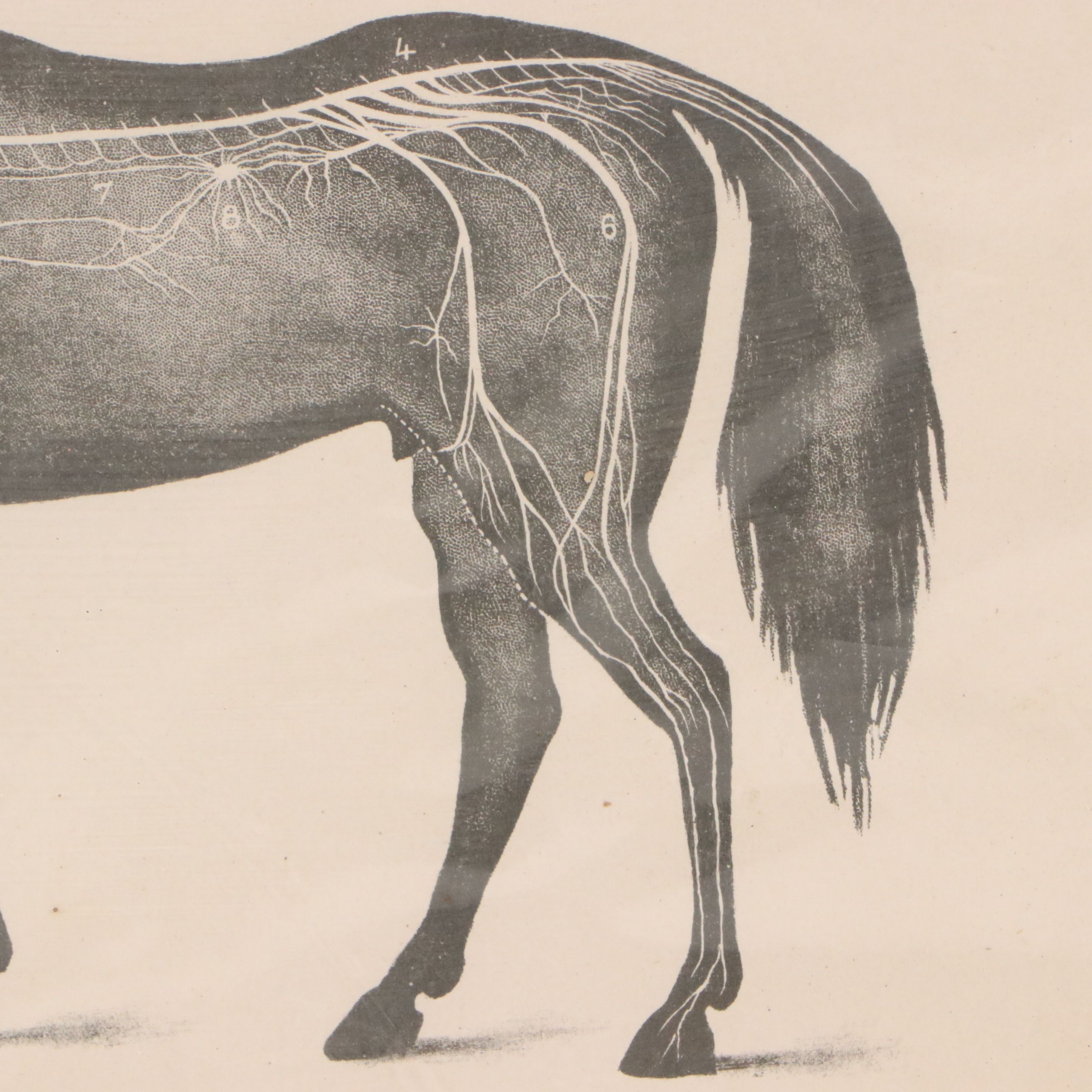 Sid Marean Photograph "Off the Main Road" and Other Prints