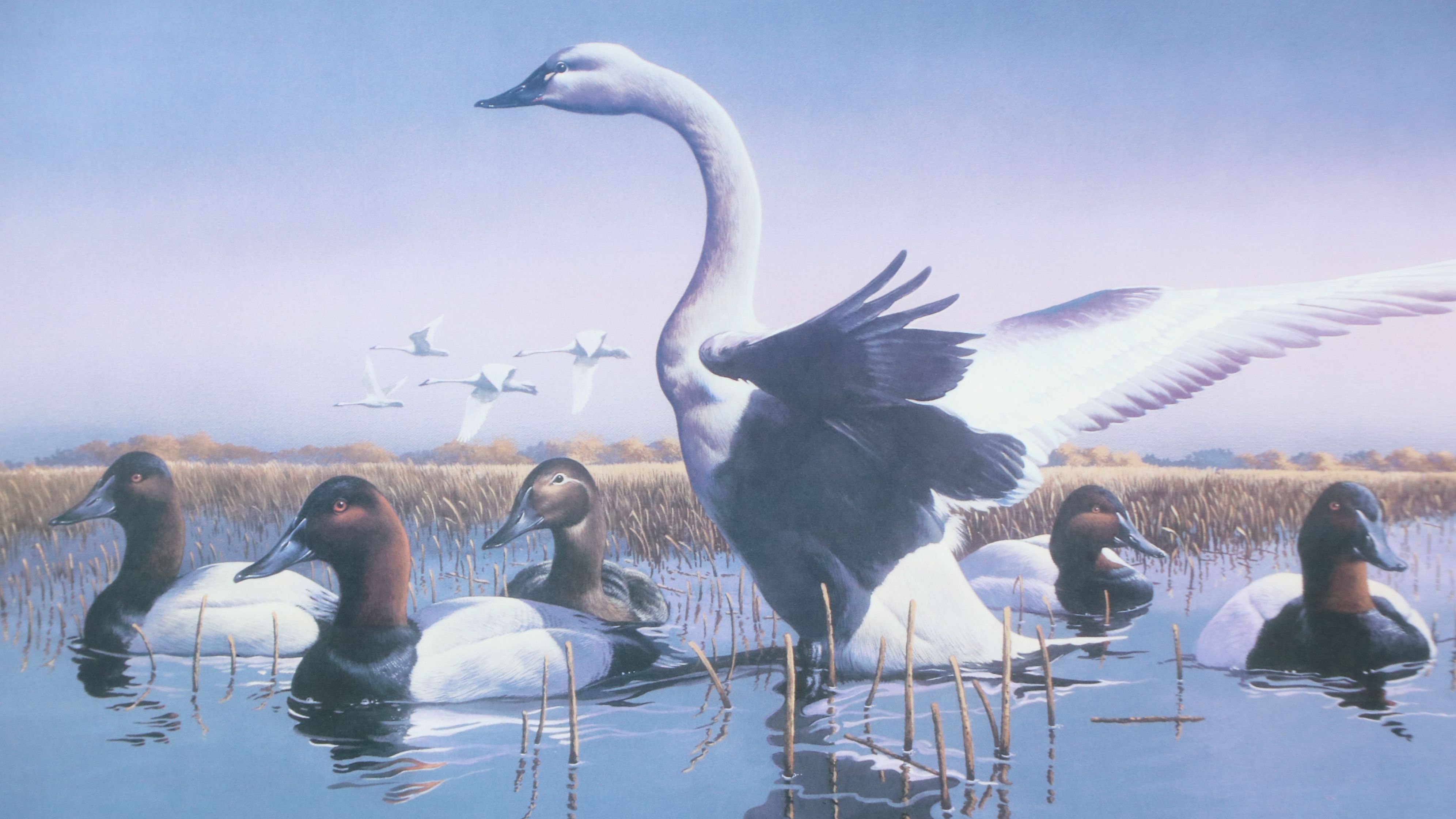 After Phillip Crowe Offset Lithograph "Mattamuskeet Morning," 1993