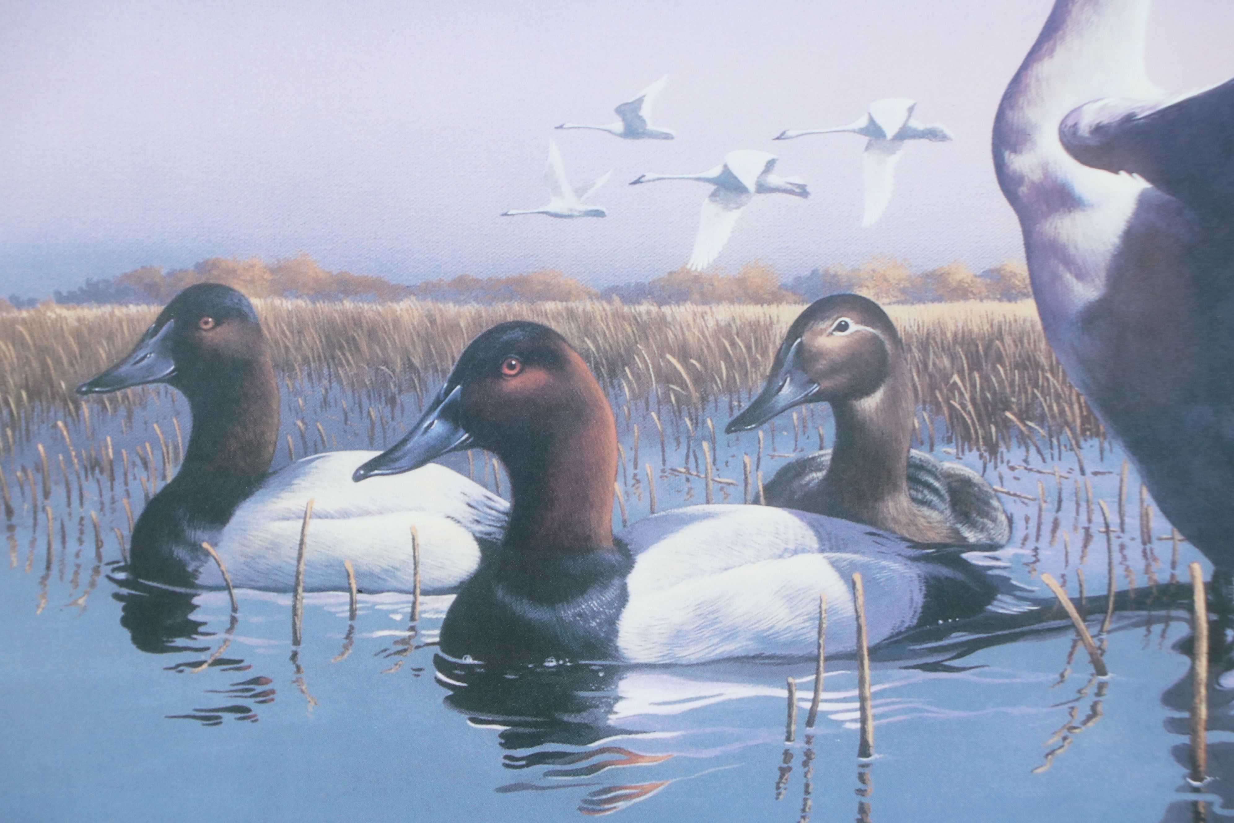 After Phillip Crowe Offset Lithograph "Mattamuskeet Morning," 1993