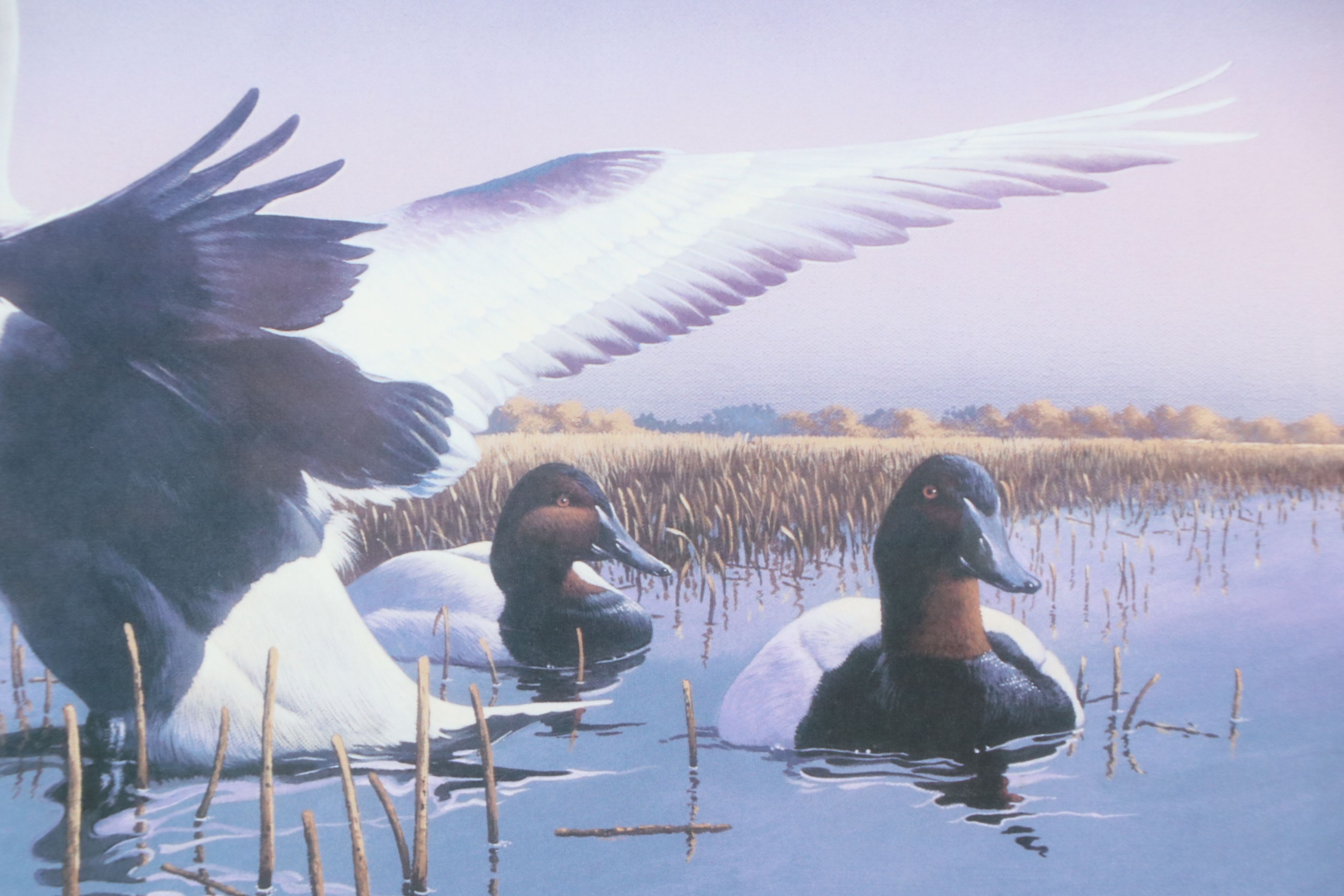 After Phillip Crowe Offset Lithograph "Mattamuskeet Morning," 1993