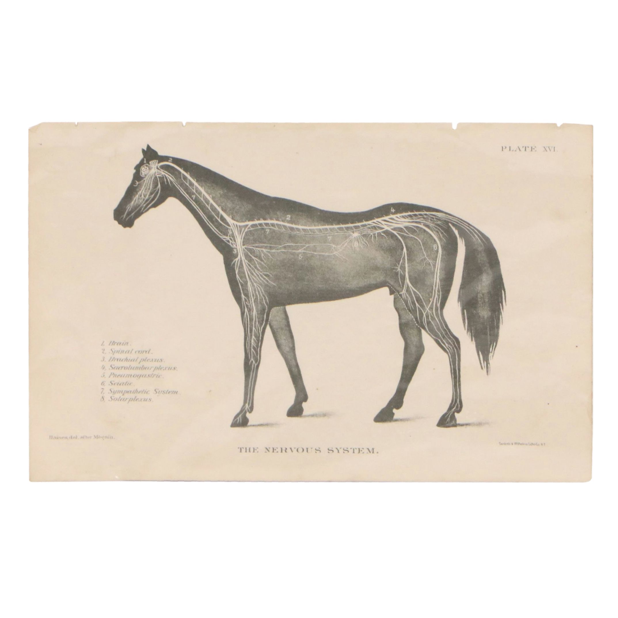 Sid Marean Photograph "Off the Main Road" and Other Prints