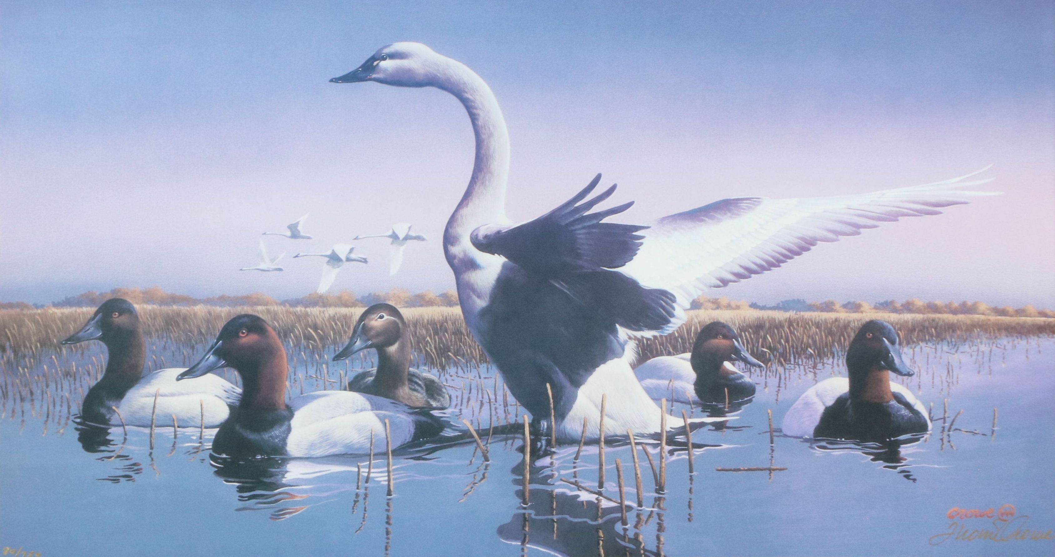 After Phillip Crowe Offset Lithograph "Mattamuskeet Morning," 1993