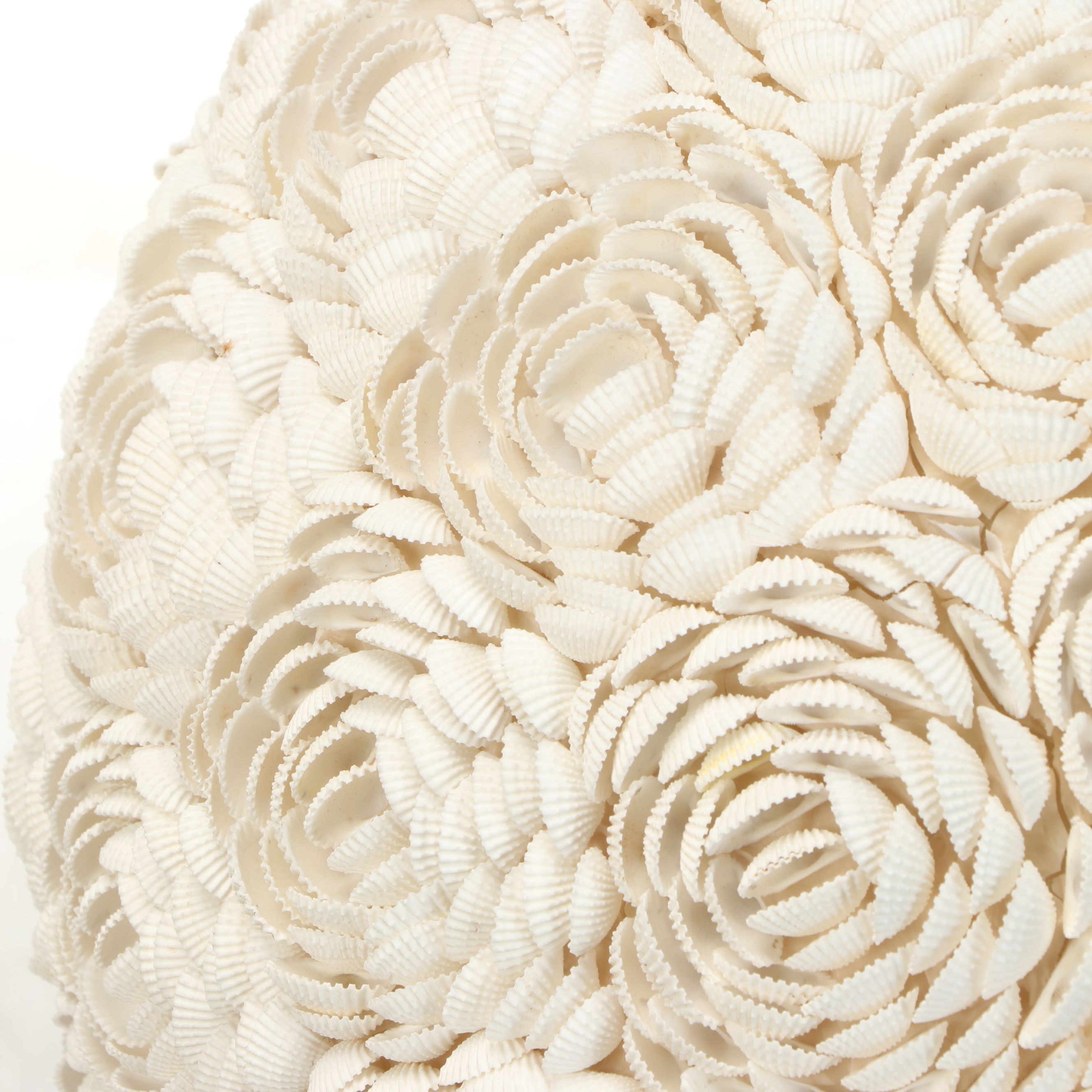 Seashell Clamrose Lamp Cover with Brass Stand and Other Clam Shell Orb