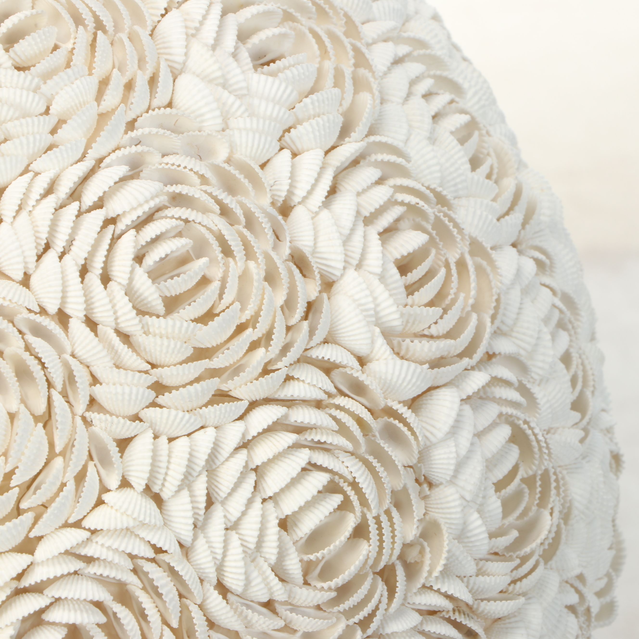 Seashell Clamrose Lamp Cover with Brass Stand and Other Clam Shell Orb