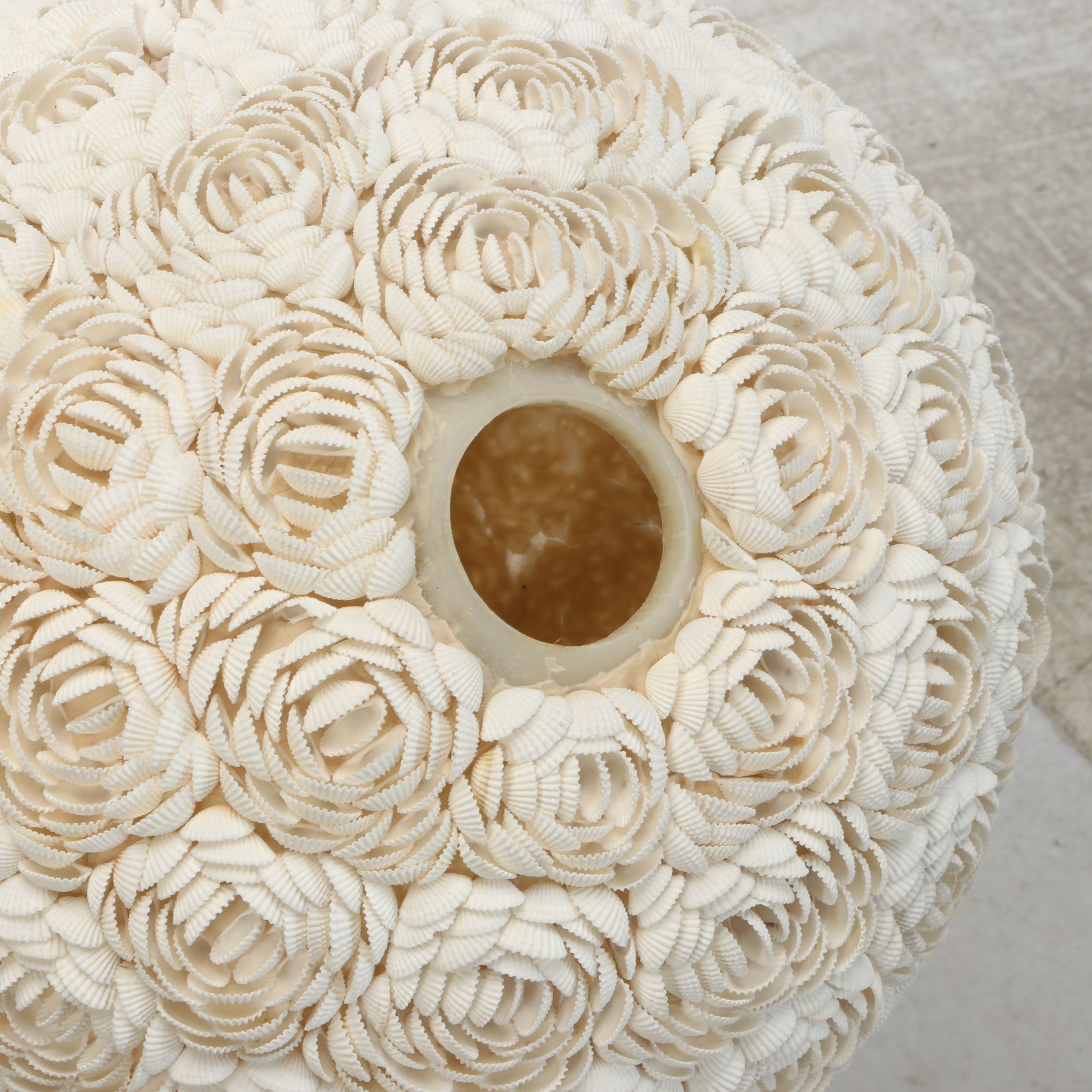 Seashell Clamrose Lamp Cover with Brass Stand and Other Clam Shell Orb