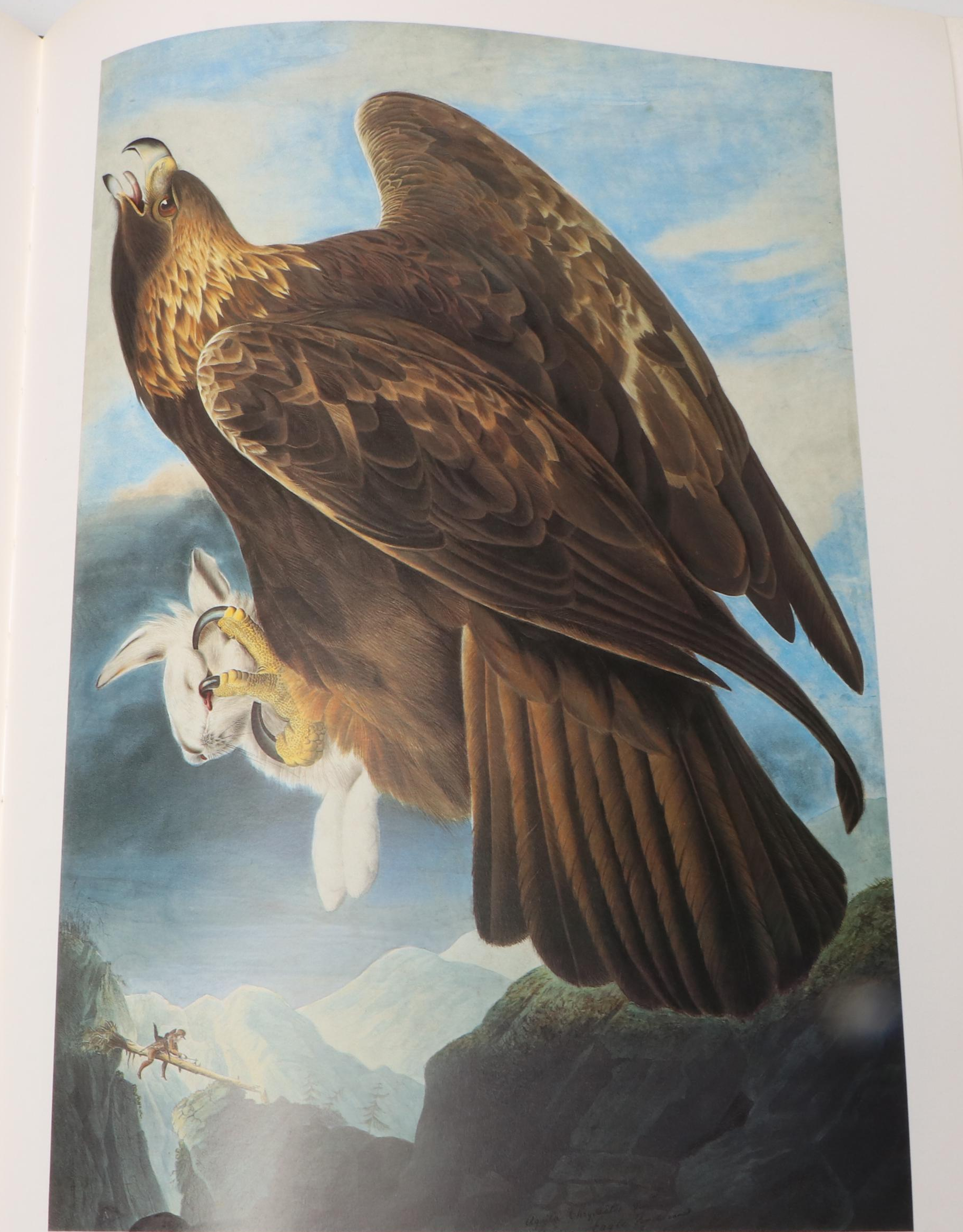 First Printing "John James Audubon: Watercolors for The Birds of America," 1993