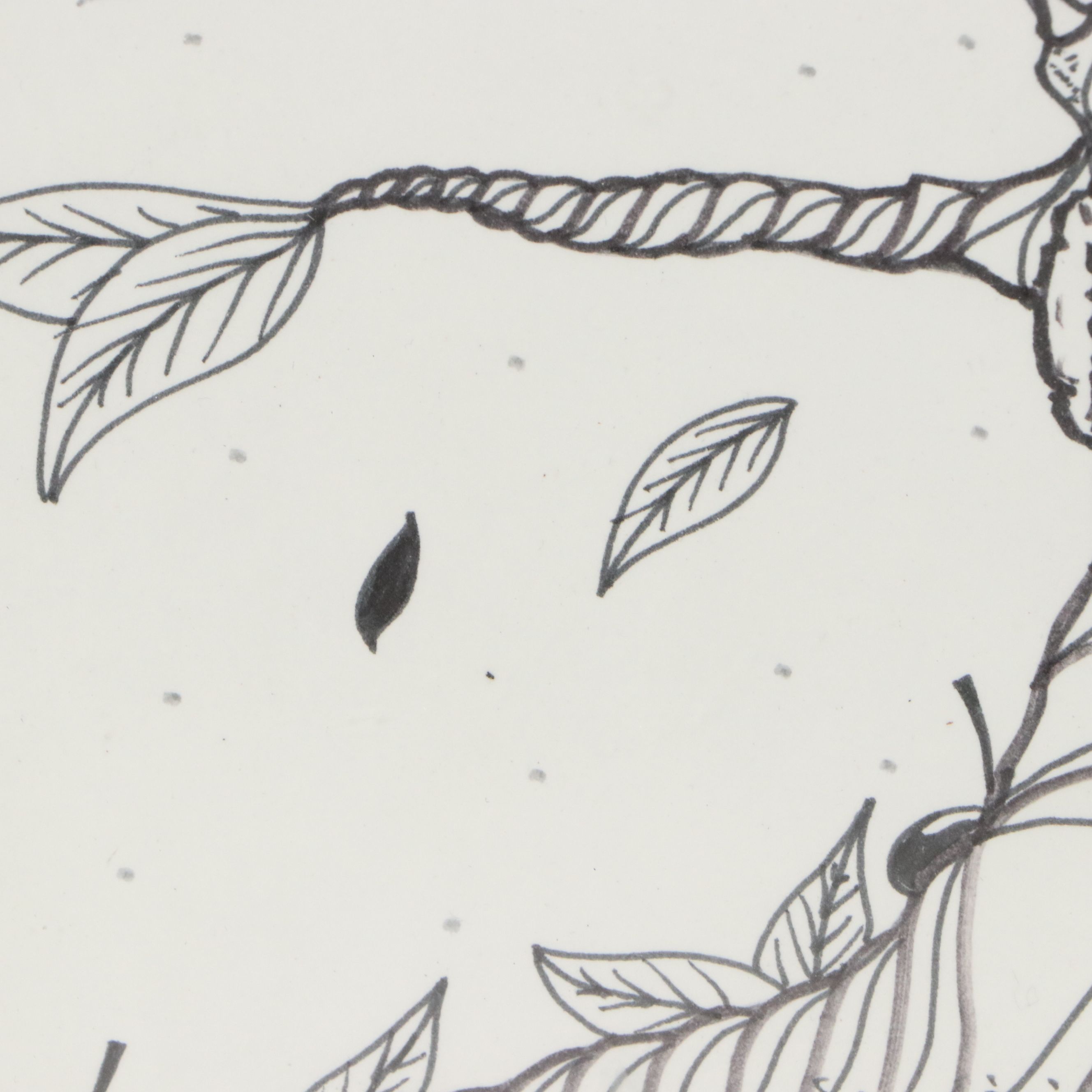 Ink Drawing of Stylized Tree, Circa 2010