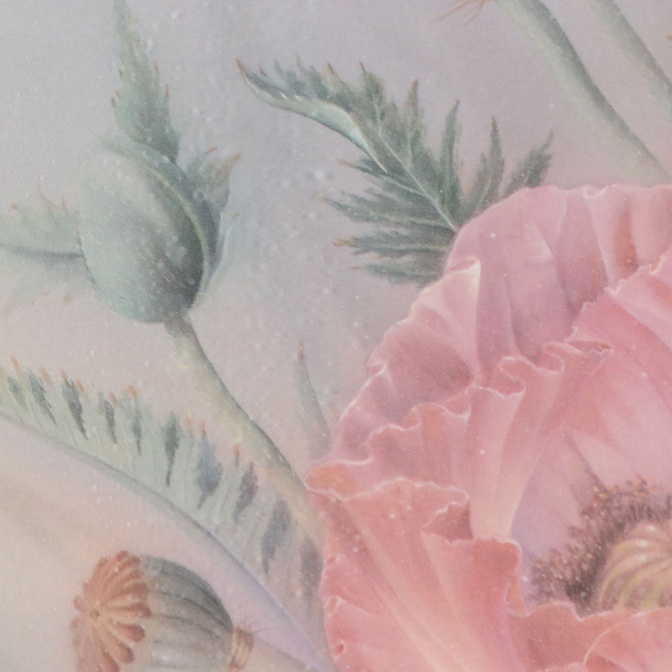 After Anna Chen Offset Lithograph of Floral Bouquet with Poppies