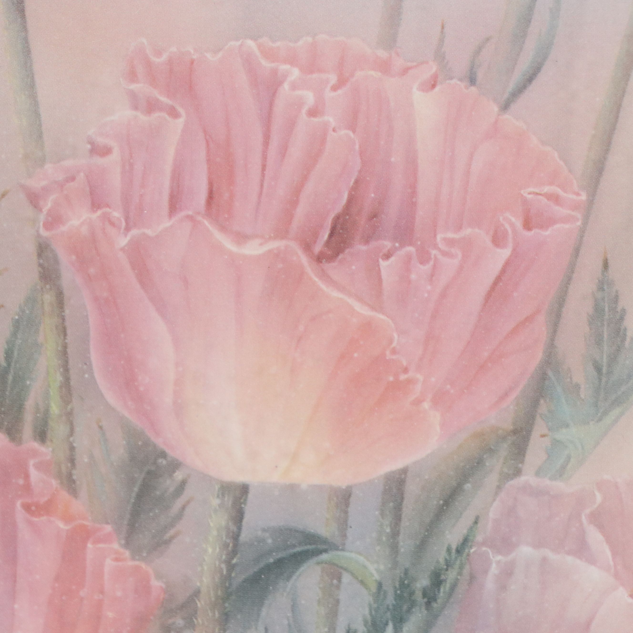 After Anna Chen Offset Lithograph of Floral Bouquet with Poppies