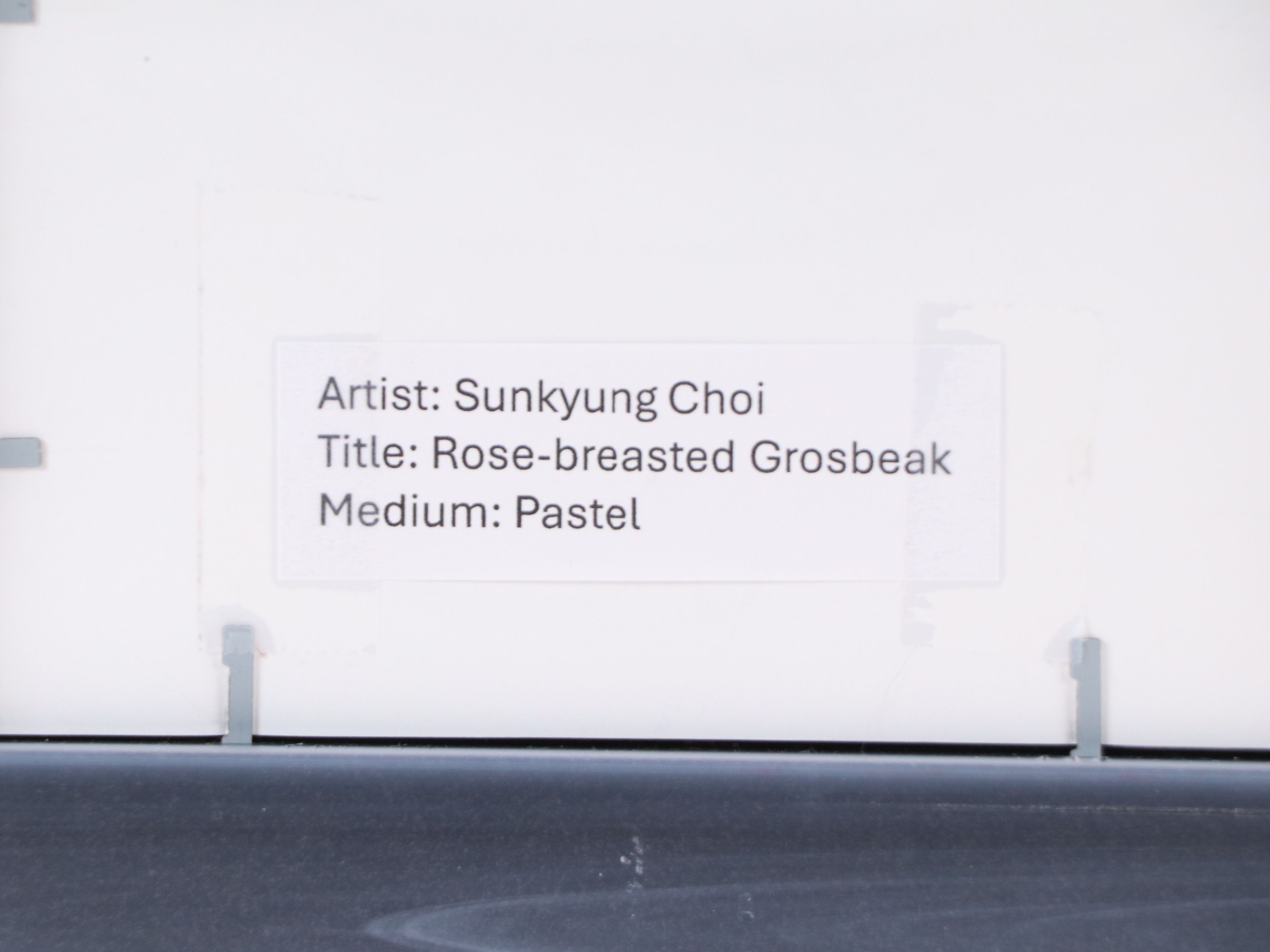 Sunkyung Choi Pastel Drawing "Rose-breasted Grosbeak," 21st Century