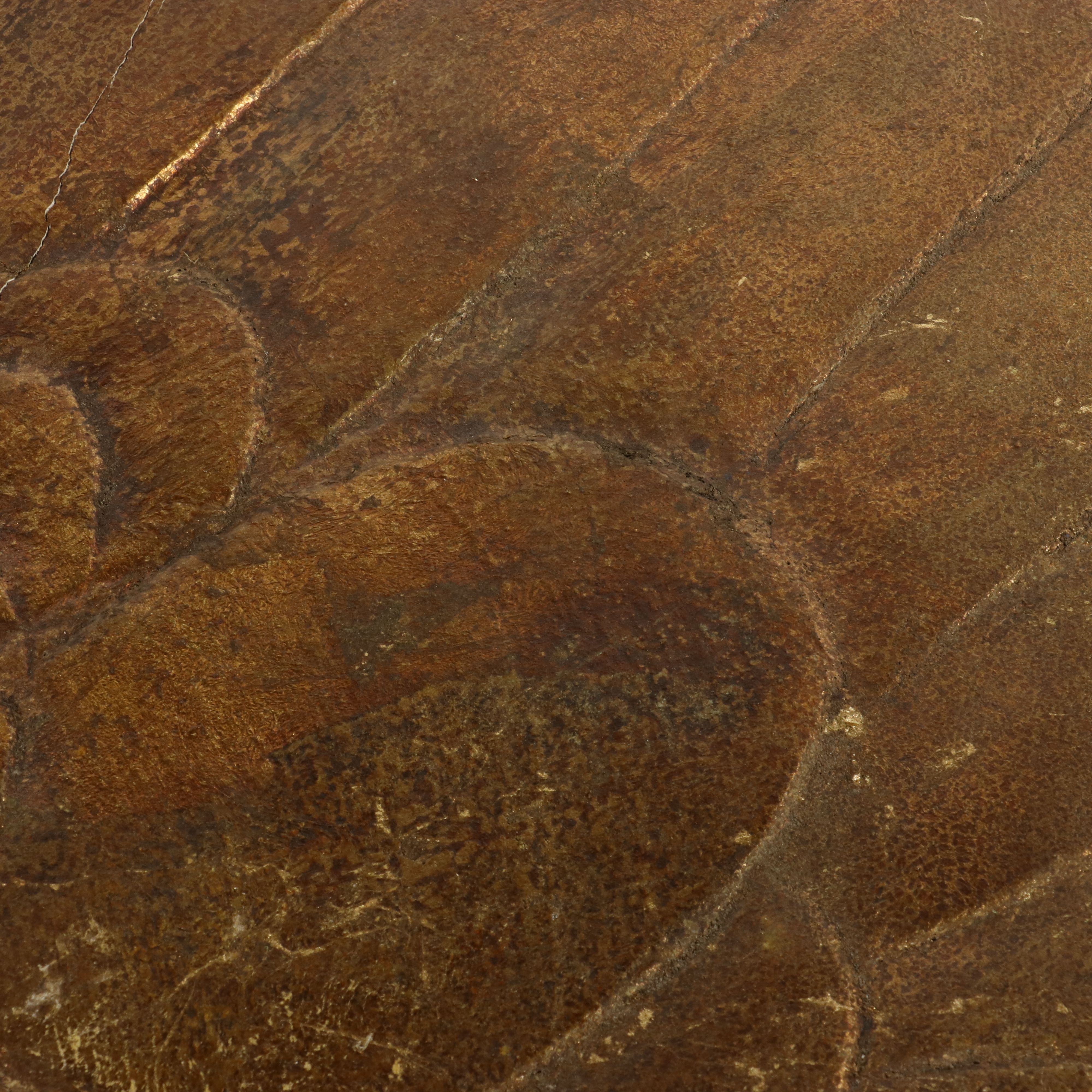 Pair of Monumental Carved Giltwood and Gesso Angel Wings