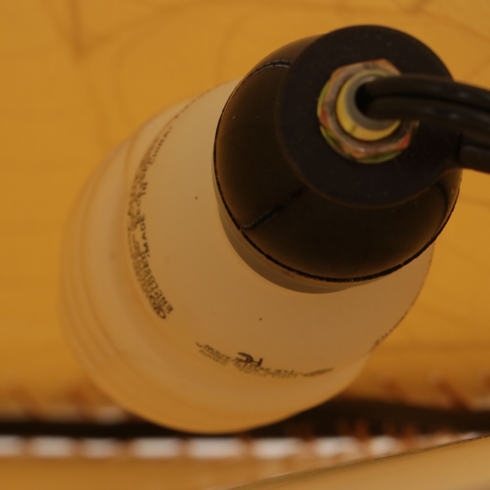 Eangee Home Design Iron & Cocoa Leaf Floor Lamp