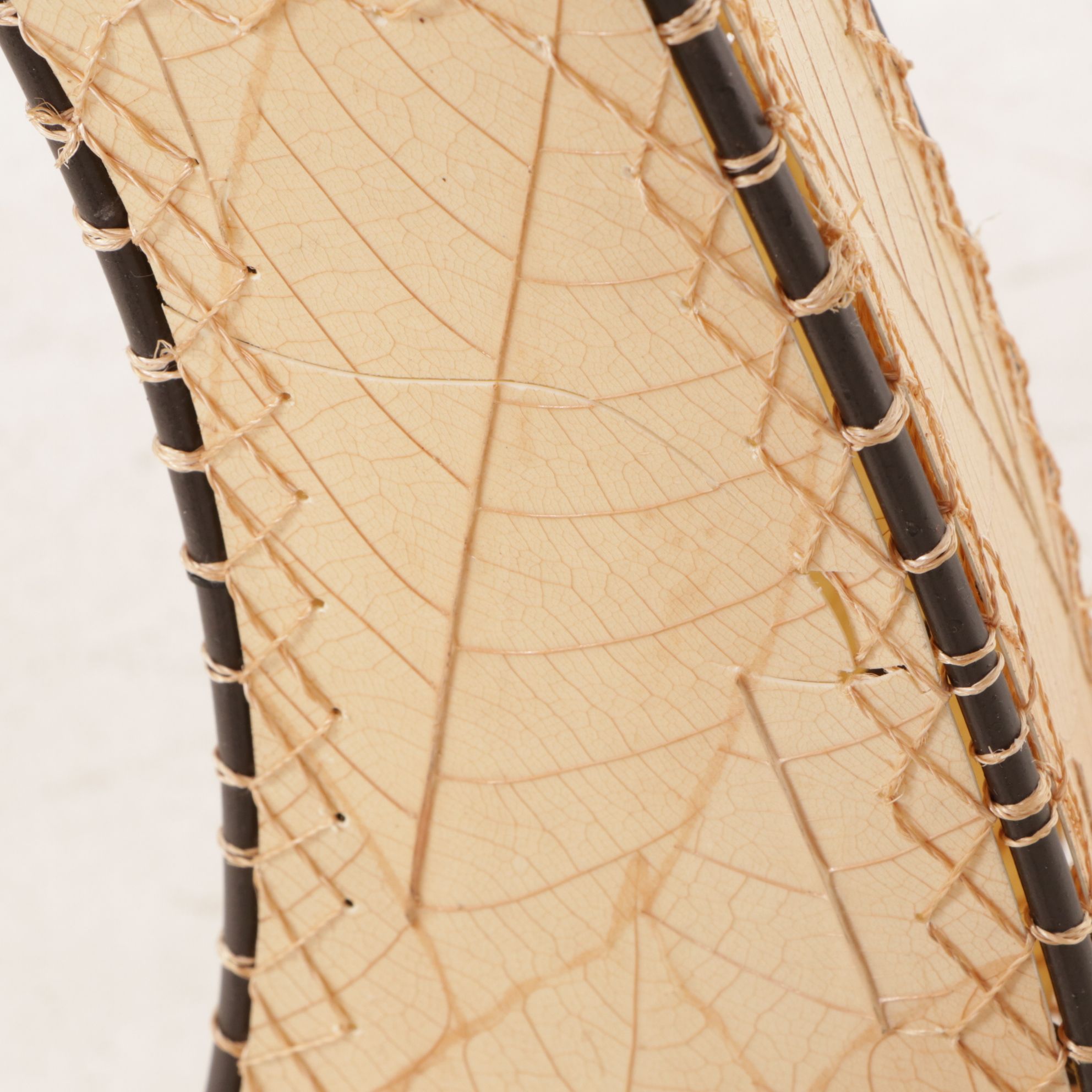 Eangee Home Design Iron & Cocoa Leaf Floor Lamp