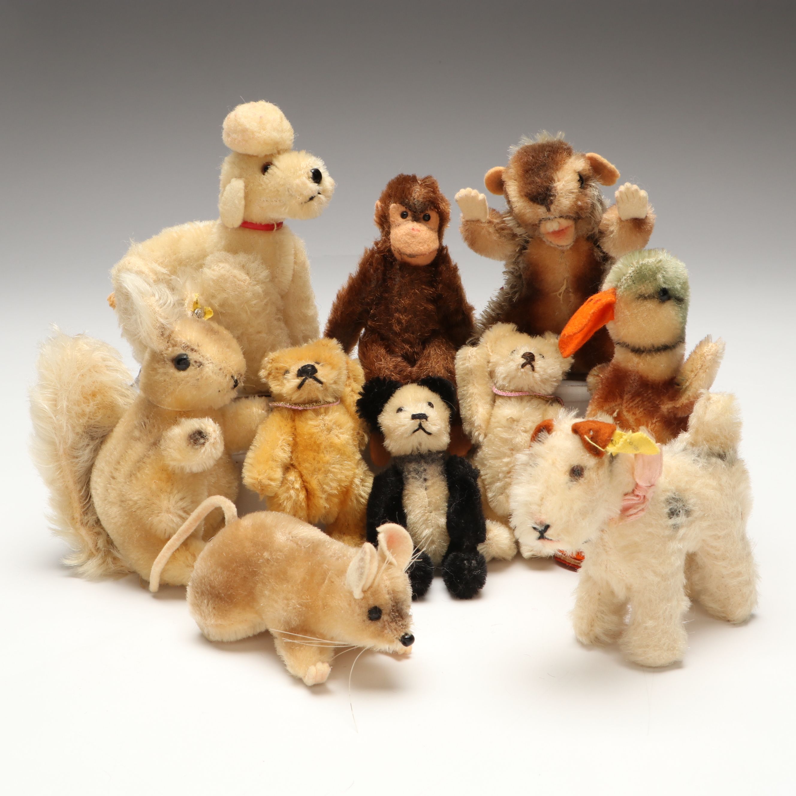 Steiff Squirrel, Dog with Other Small Stuffed Animals, Mid-20th Century