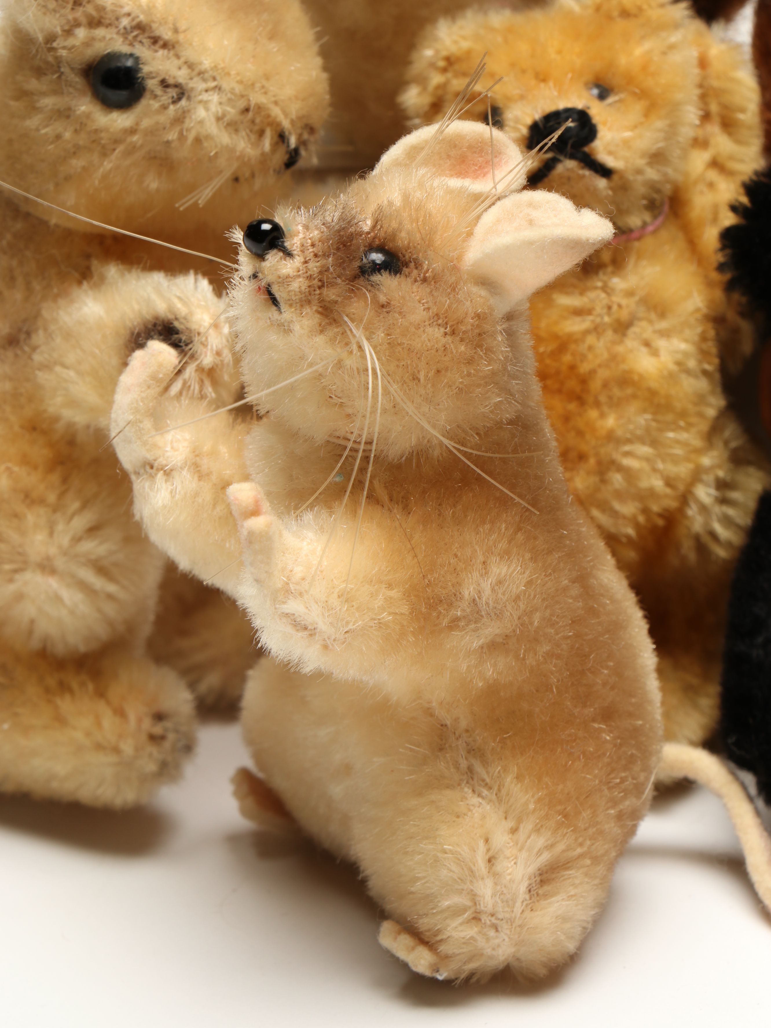Steiff Squirrel, Dog with Other Small Stuffed Animals, Mid-20th Century