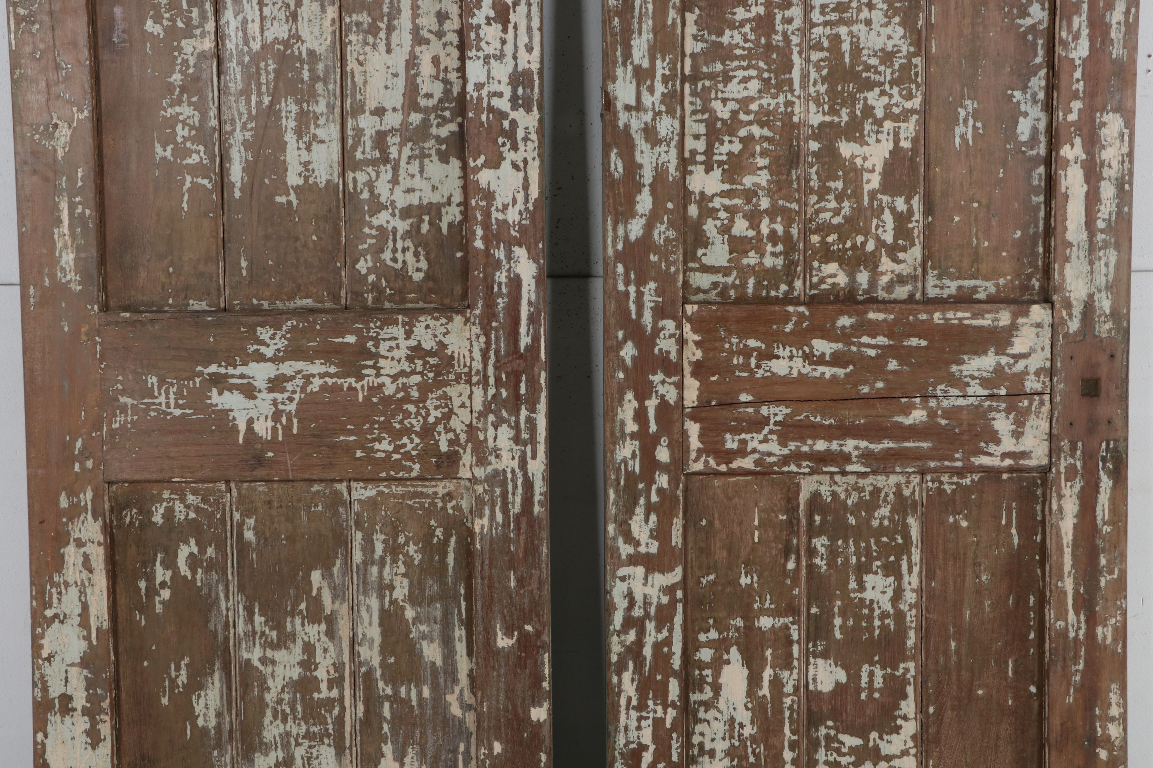 Pair of Rustic Green-Painted Wood Panel Doors