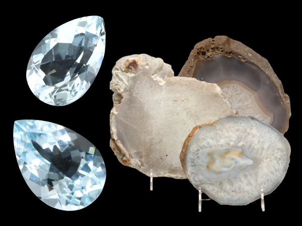 The Naturalist’s Curated Collection