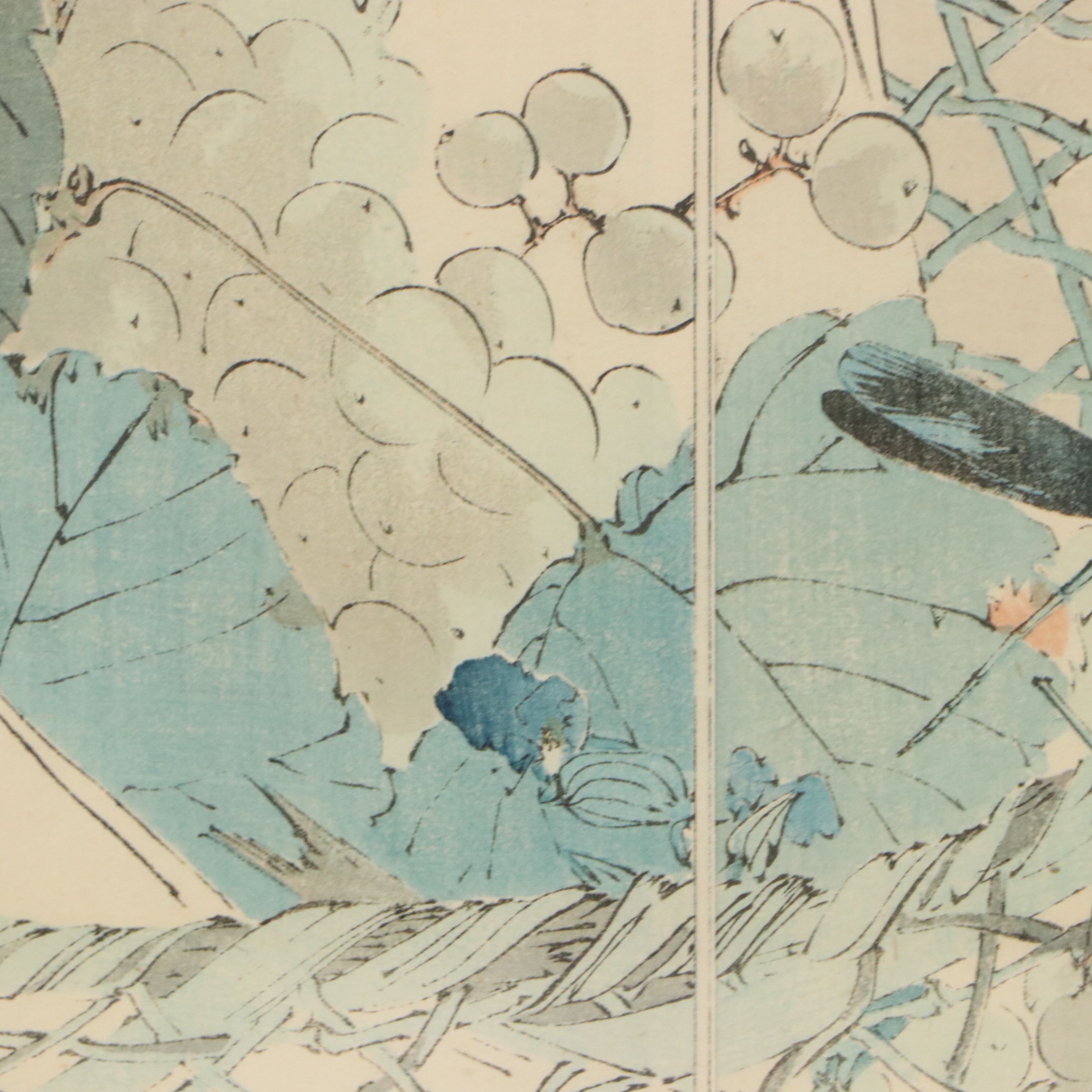 Watanabe Shōtei Ukiyo-e Woodblock Print of Dragonfly on Fruit Basket