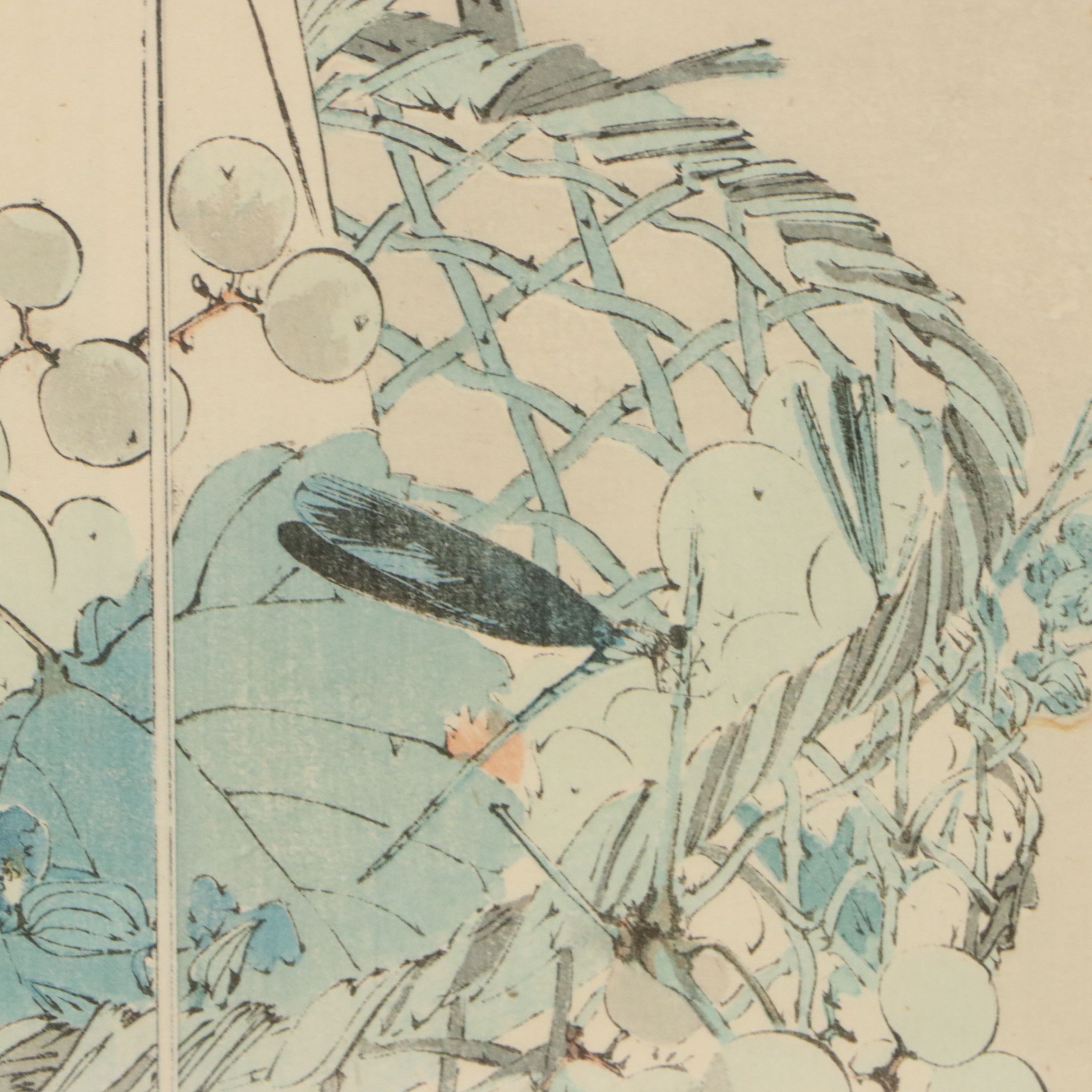Watanabe Shōtei Ukiyo-e Woodblock Print of Dragonfly on Fruit Basket