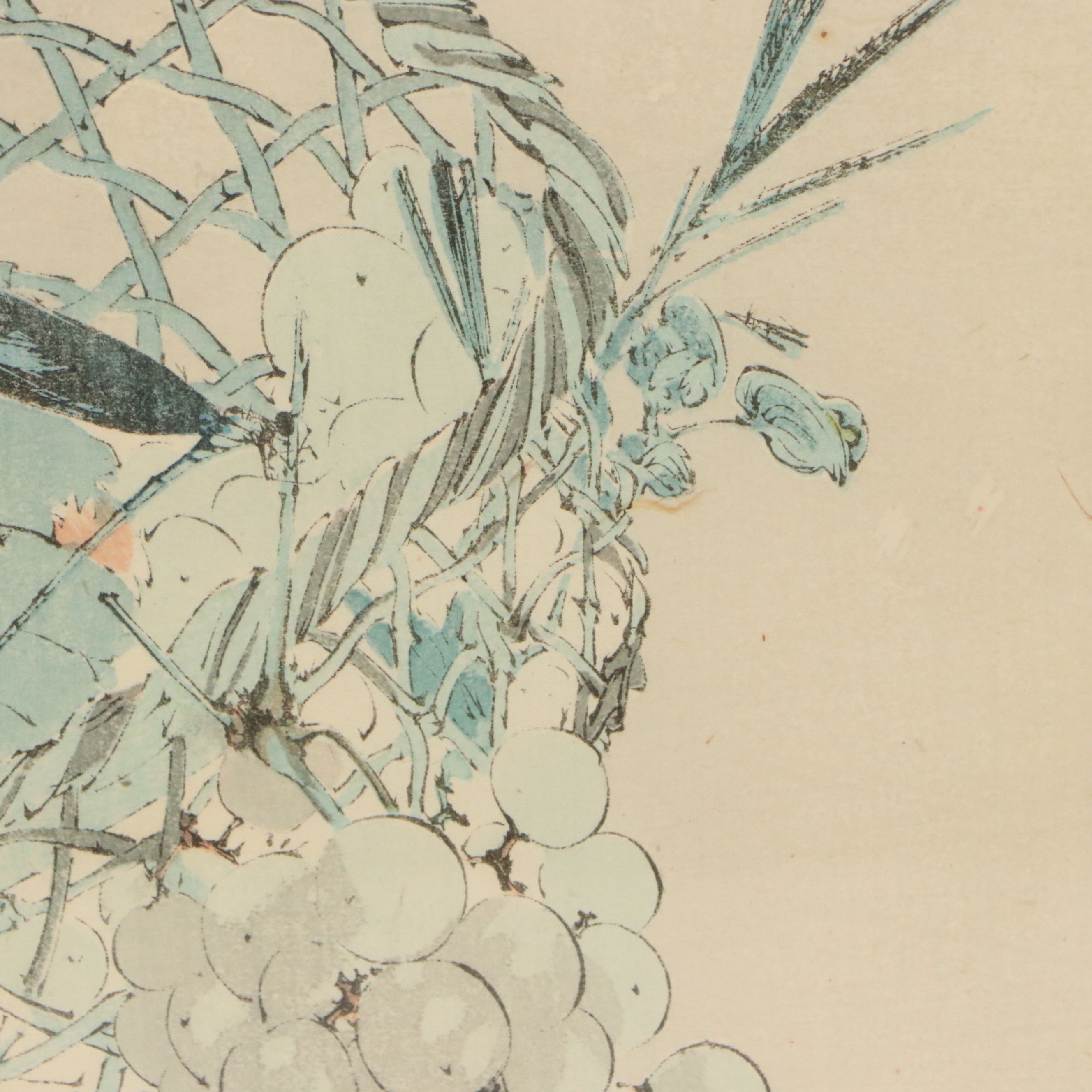 Watanabe Shōtei Ukiyo-e Woodblock Print of Dragonfly on Fruit Basket