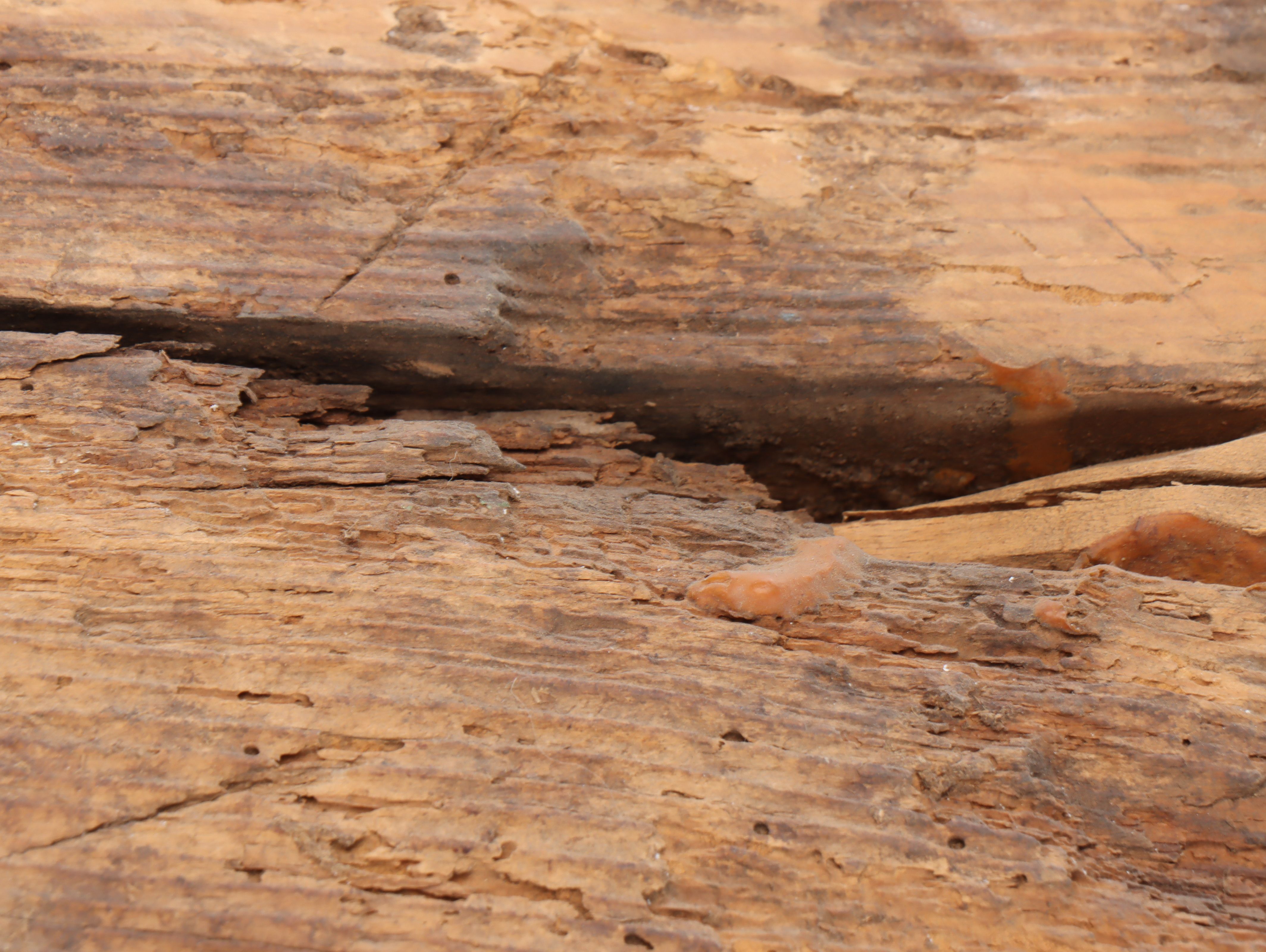 Salvaged Iron Banded Wooden Wagon Wheel