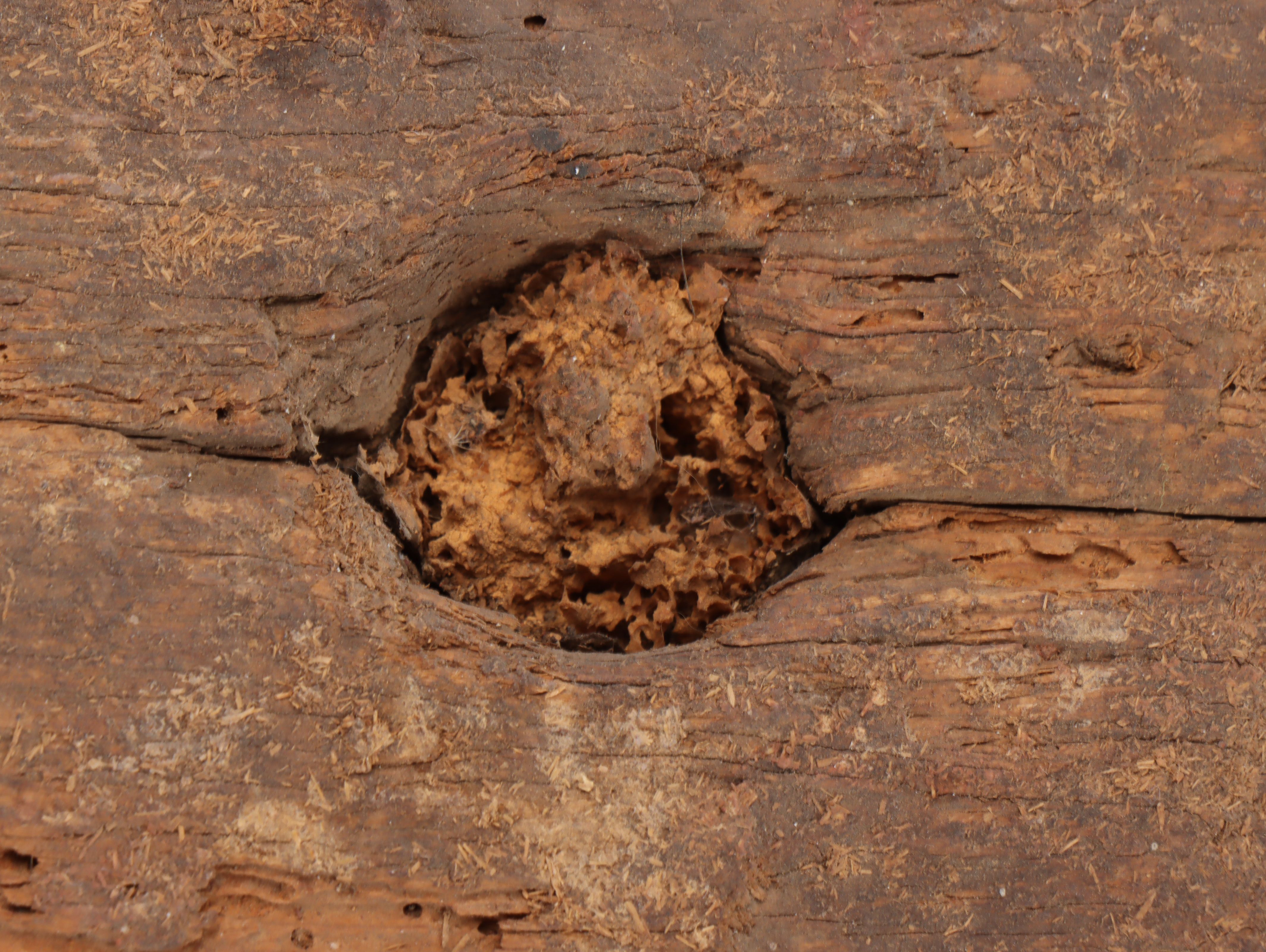 Salvaged Iron Banded Wooden Wagon Wheel