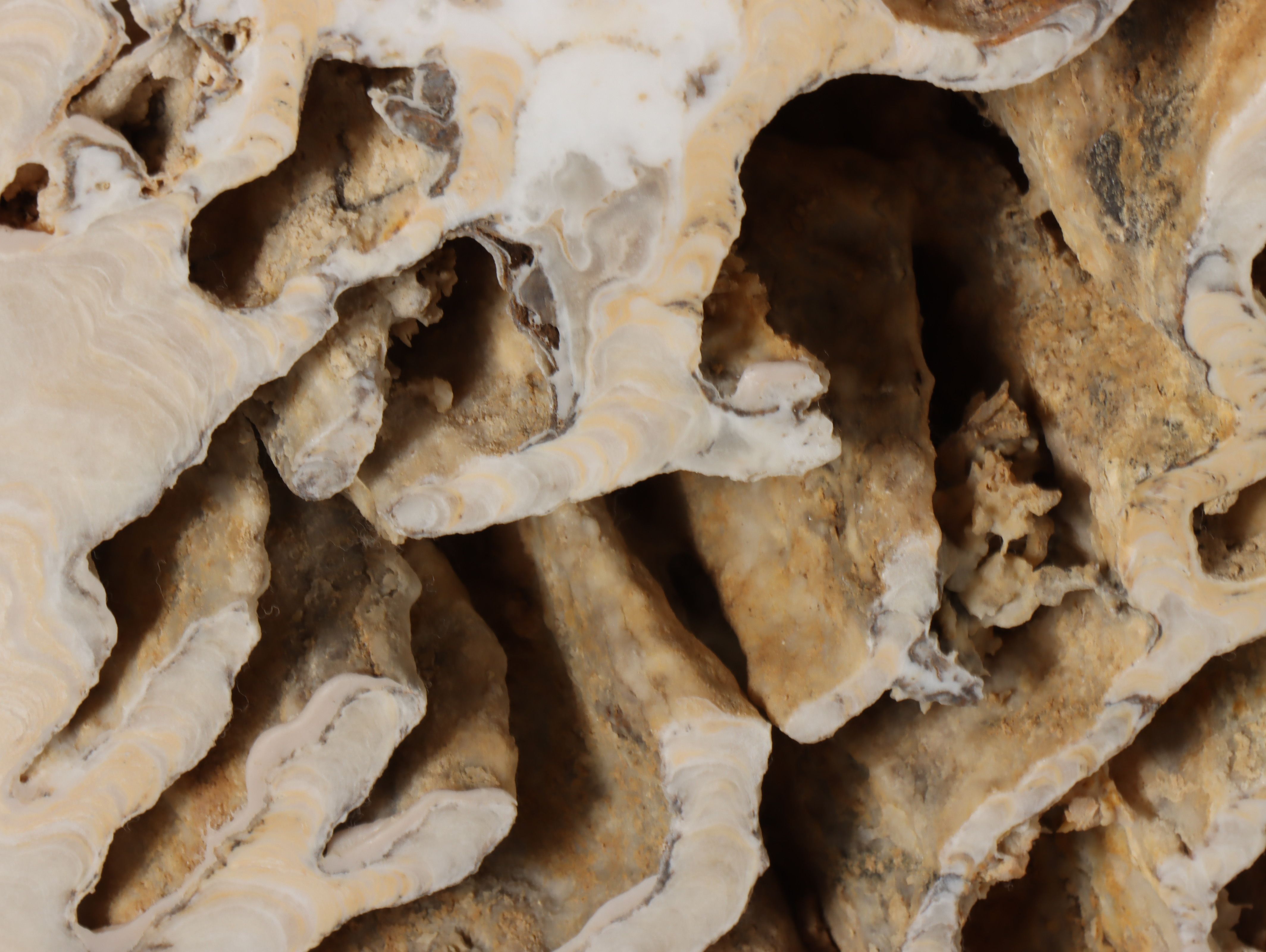 Modern Travertine End Table