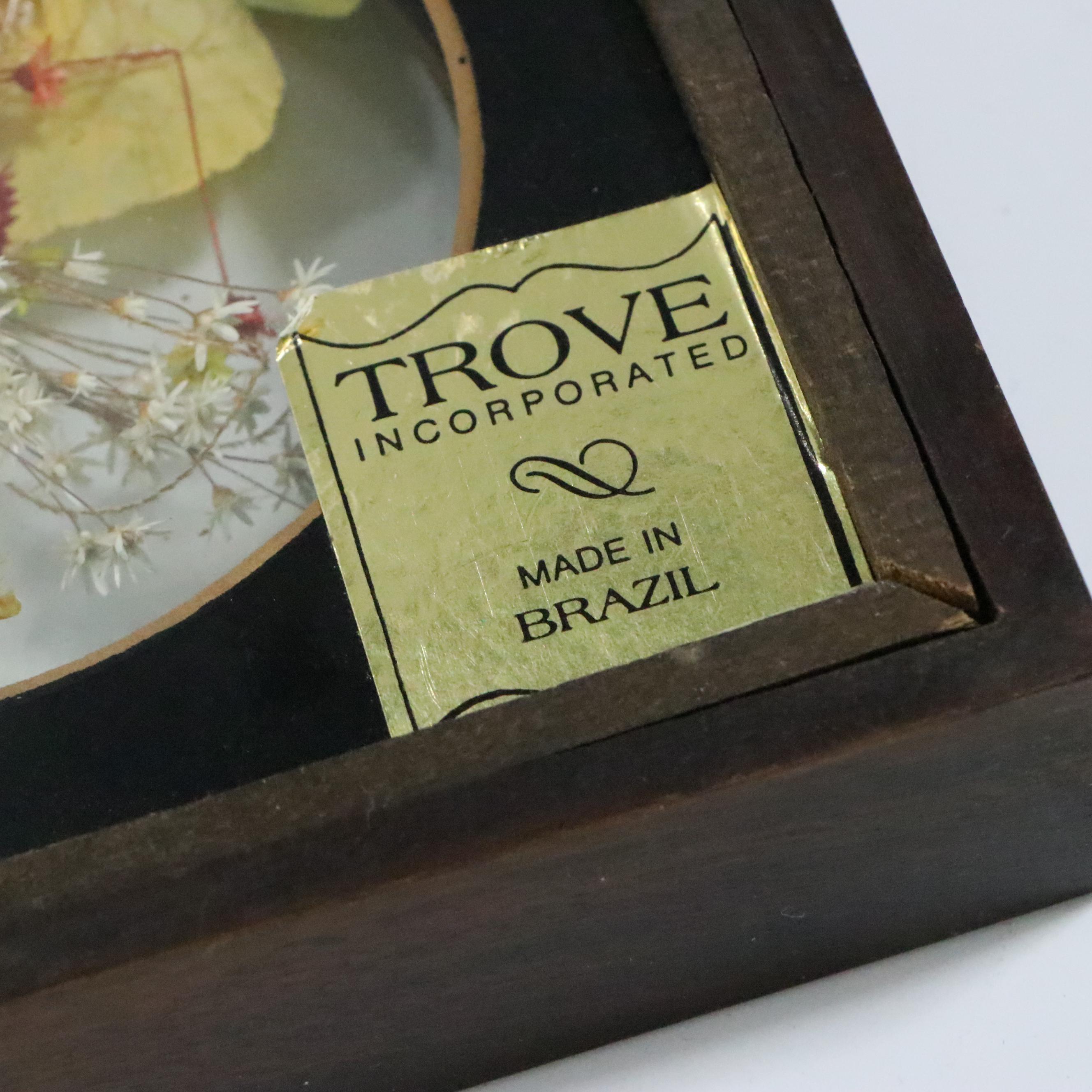 Taxidermy Butterflies and Floral Specimens