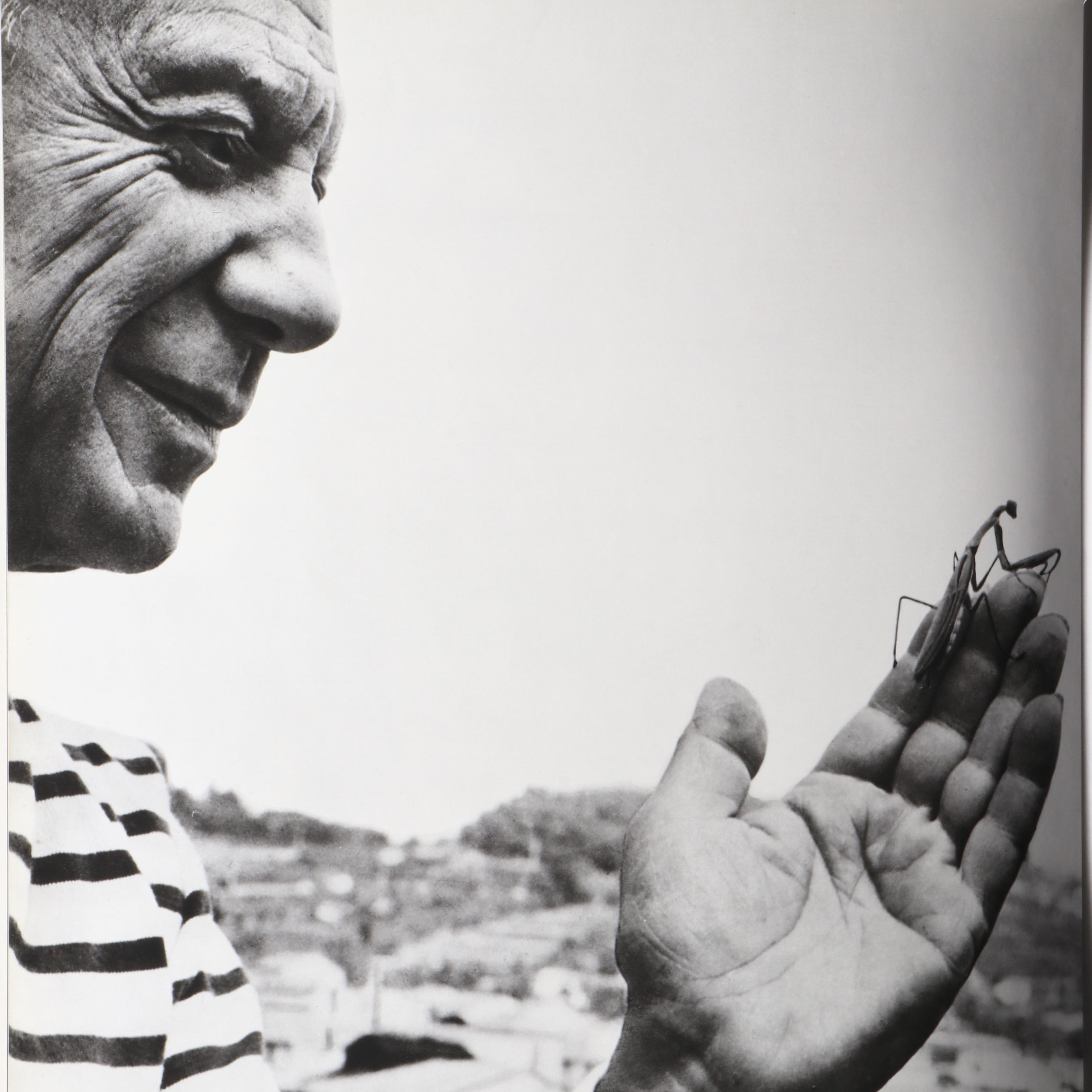 First Edition "Picasso" by Pierre Descargues, 1974