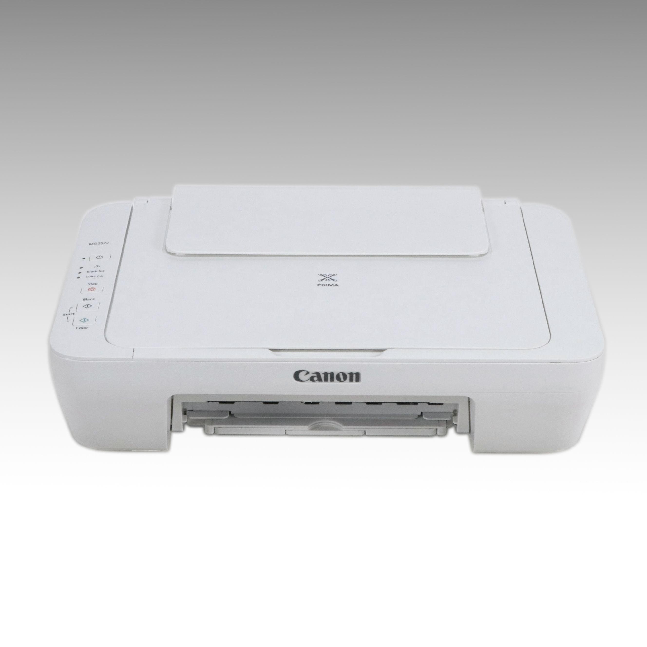Canon Pixma MG2522 Printer