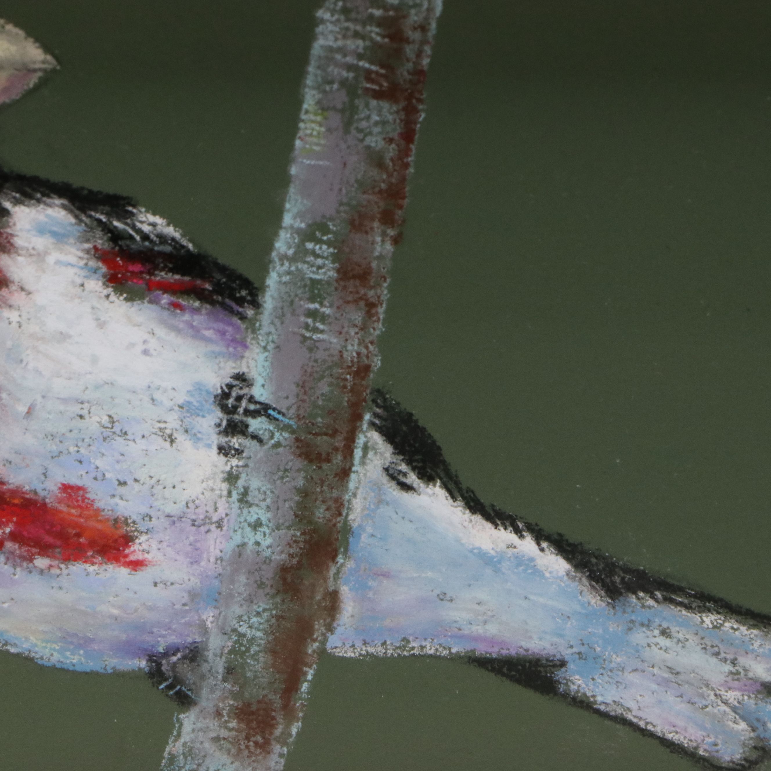 Sunkyung Choi Pastel Drawing "Rose-breasted Grosbeak," 21st Century