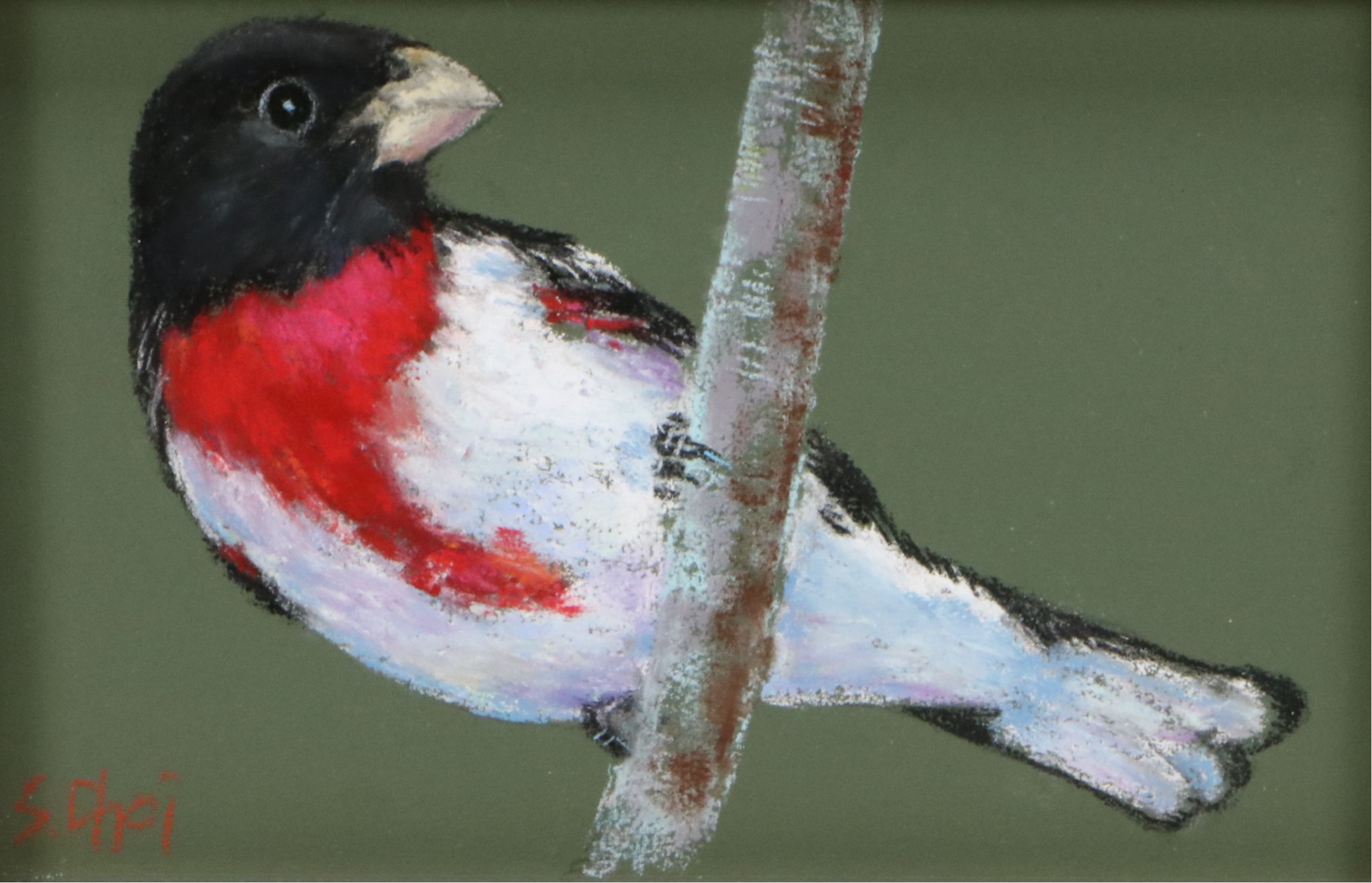 Sunkyung Choi Pastel Drawing "Rose-breasted Grosbeak," 21st Century