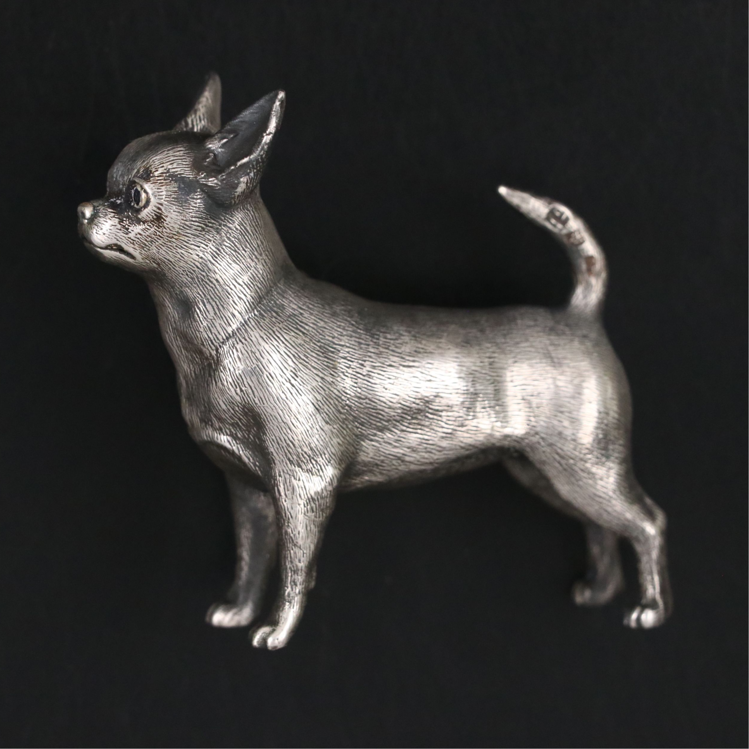 Russian 875 Silver Chihuahua with Sapphire Eyes
