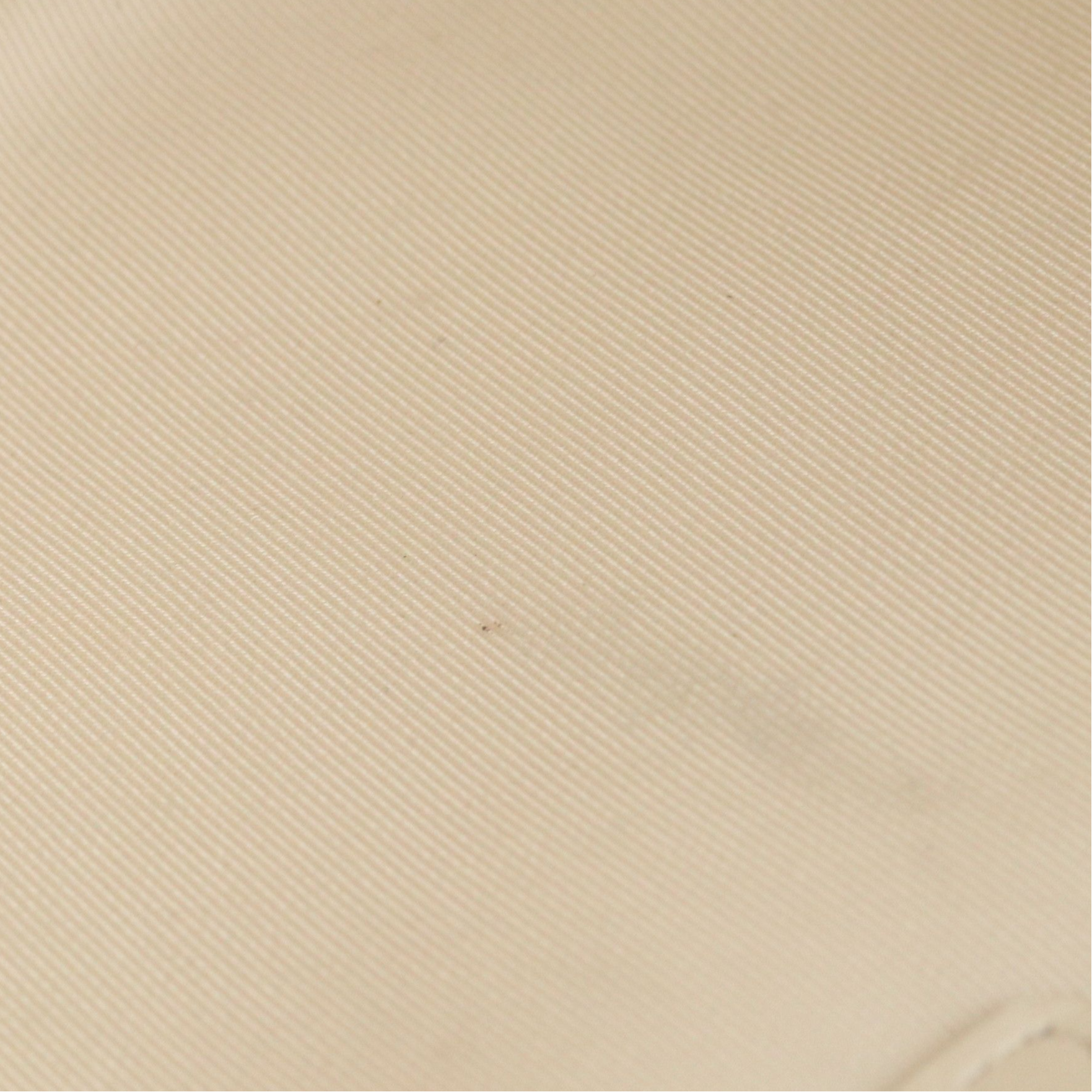 Chanel Hula Hoop Shoulder Bag in Ivory Quilted Lambskin Leather and Black Trim