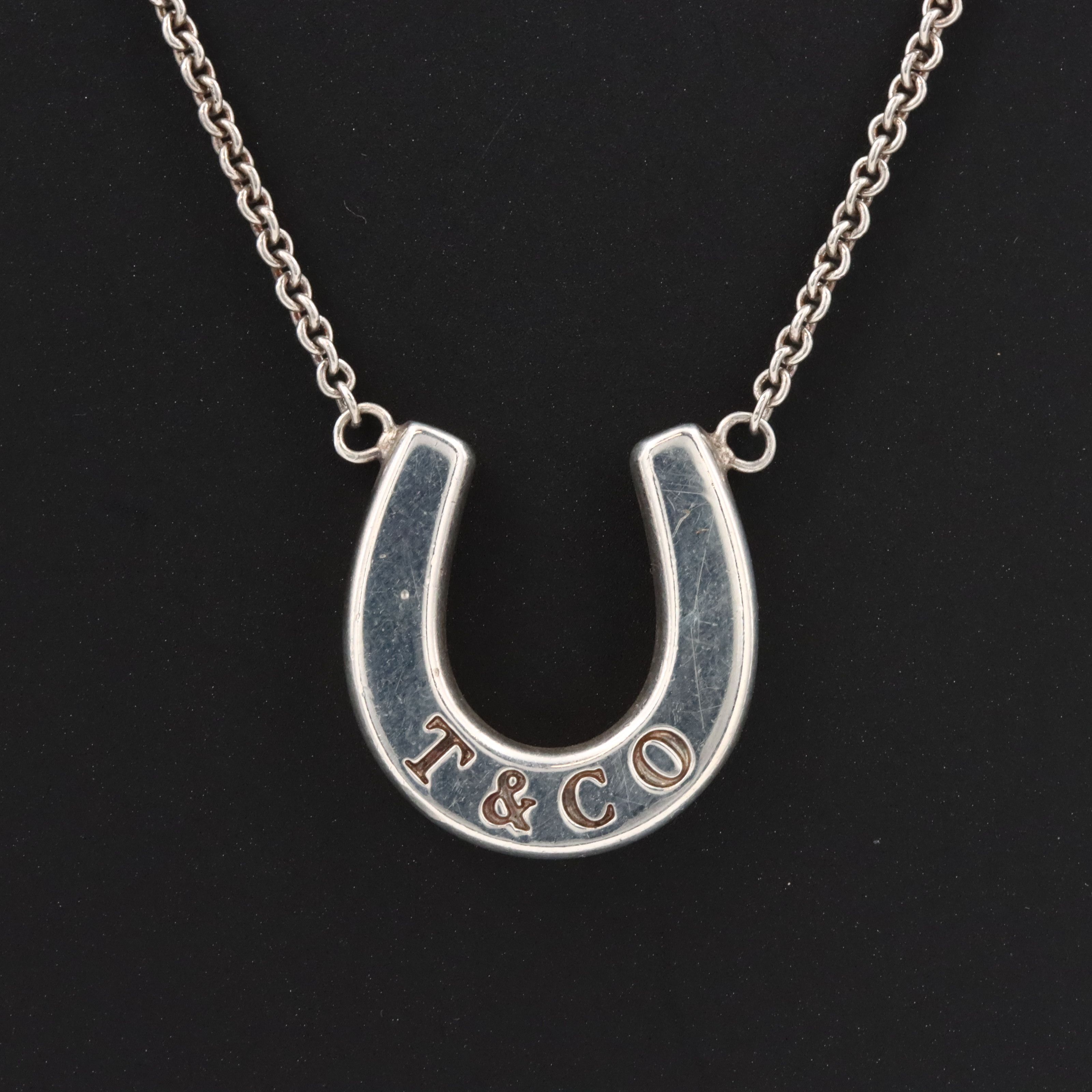 Tiffany & Co. Sterling Horseshoe Necklace