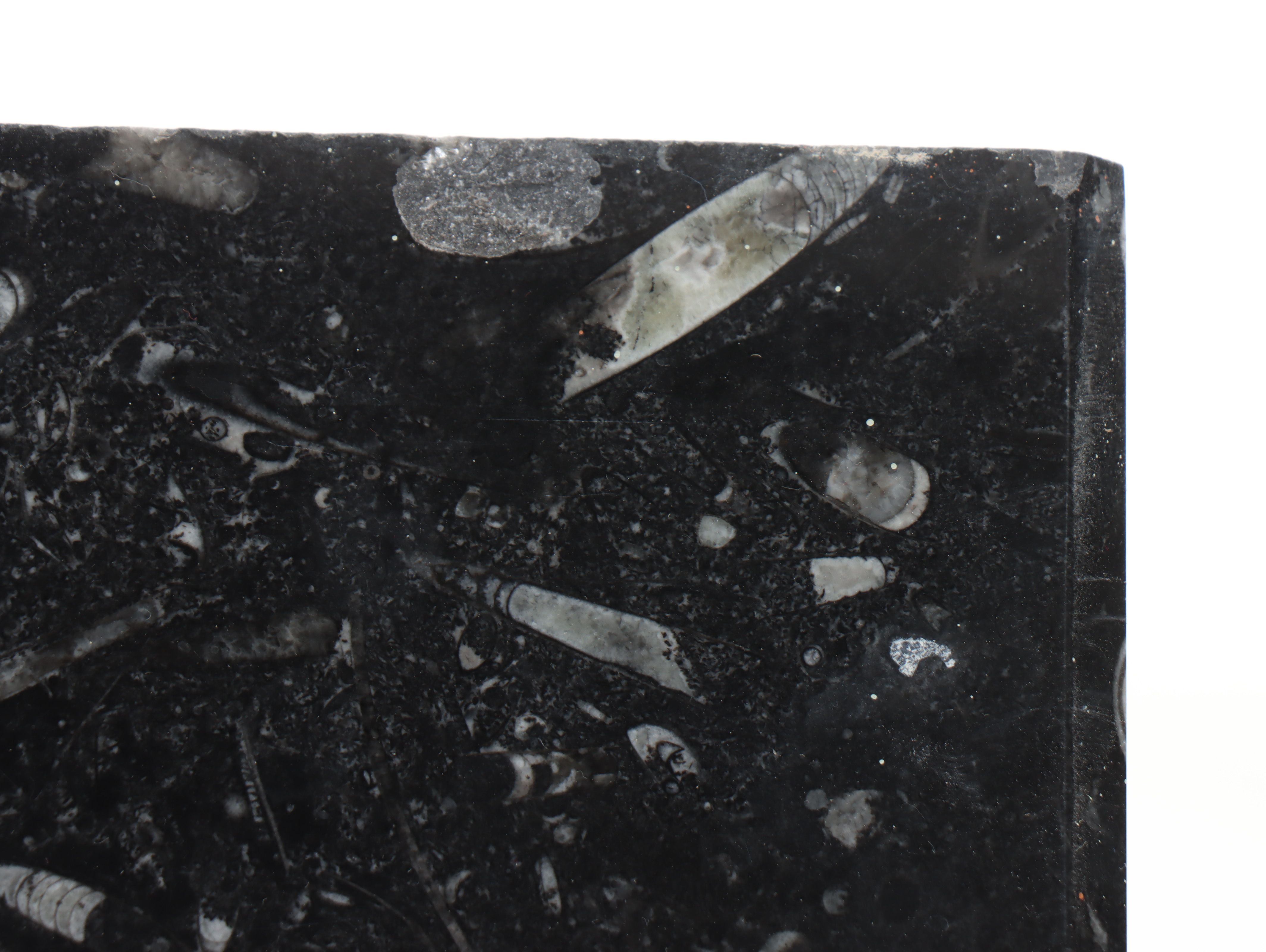 Marble with Orthocone Vanity with Undermount Sink and Plumbing