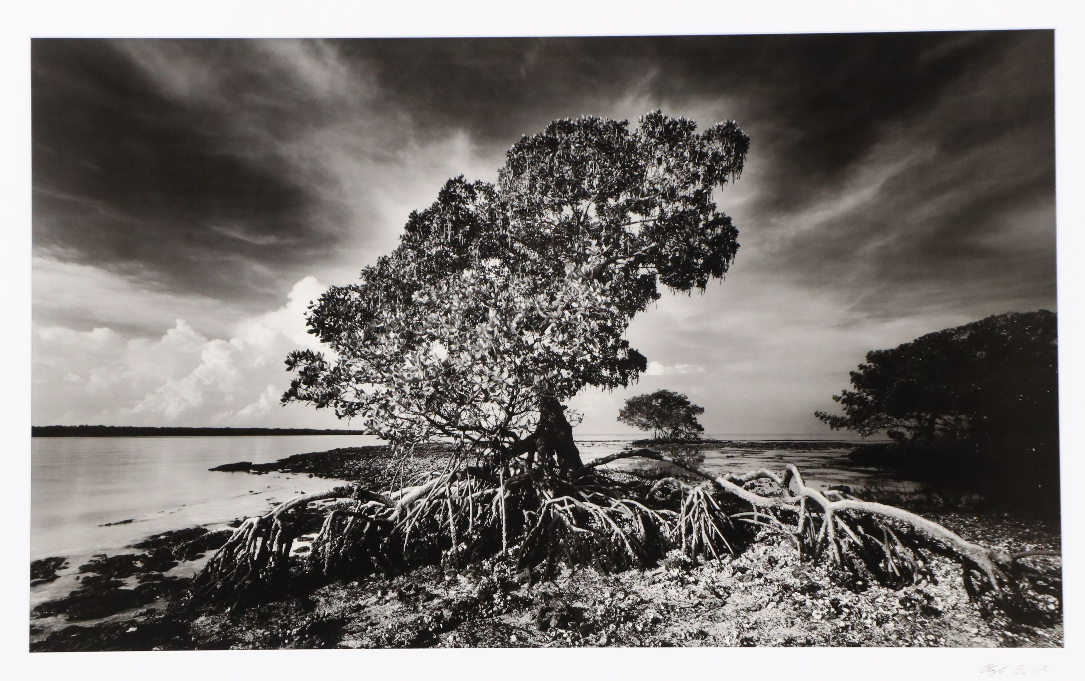Clyde Butcher Offset Lithograph "Florida Bay," 21st Century