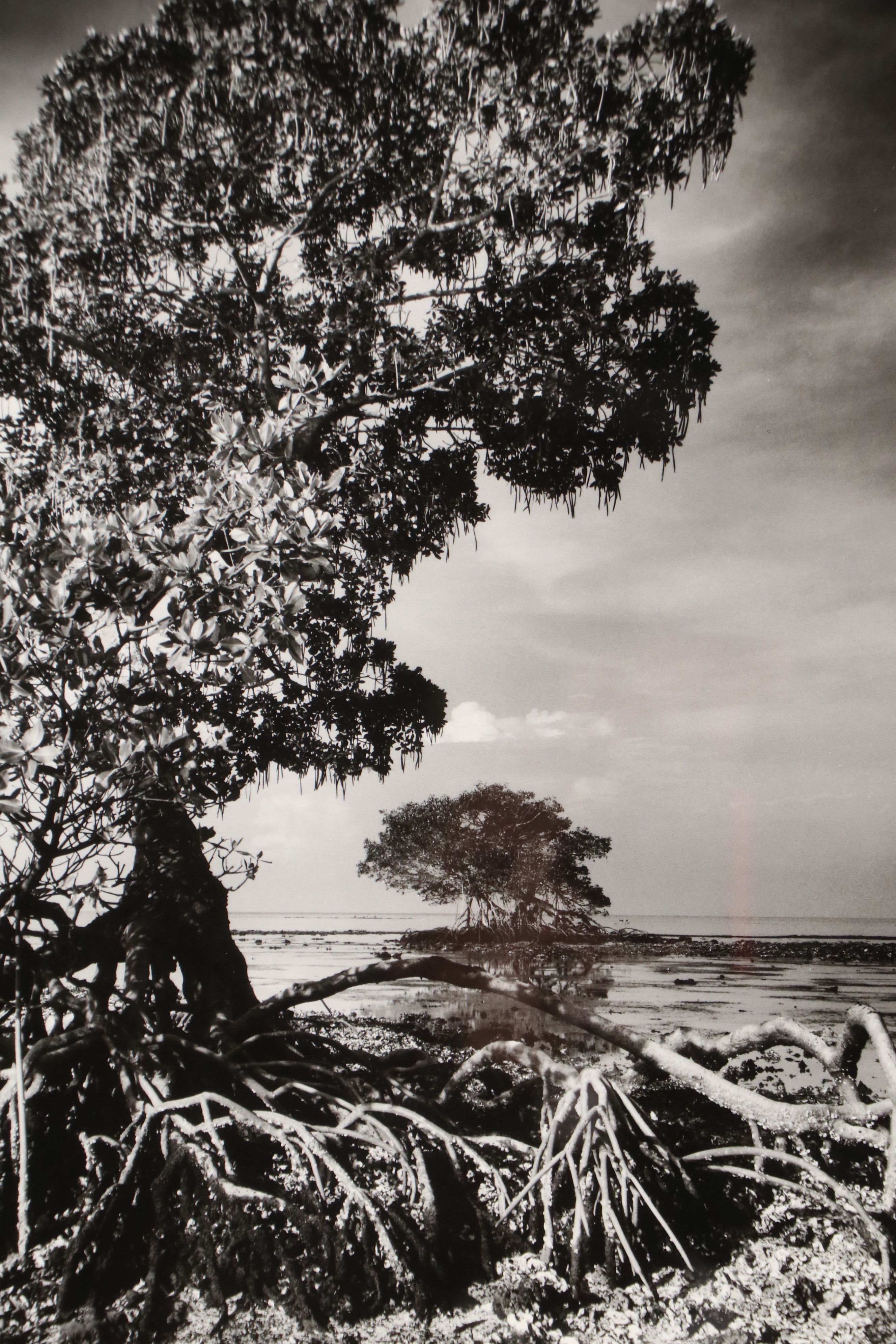 Clyde Butcher Offset Lithograph "Florida Bay," 21st Century