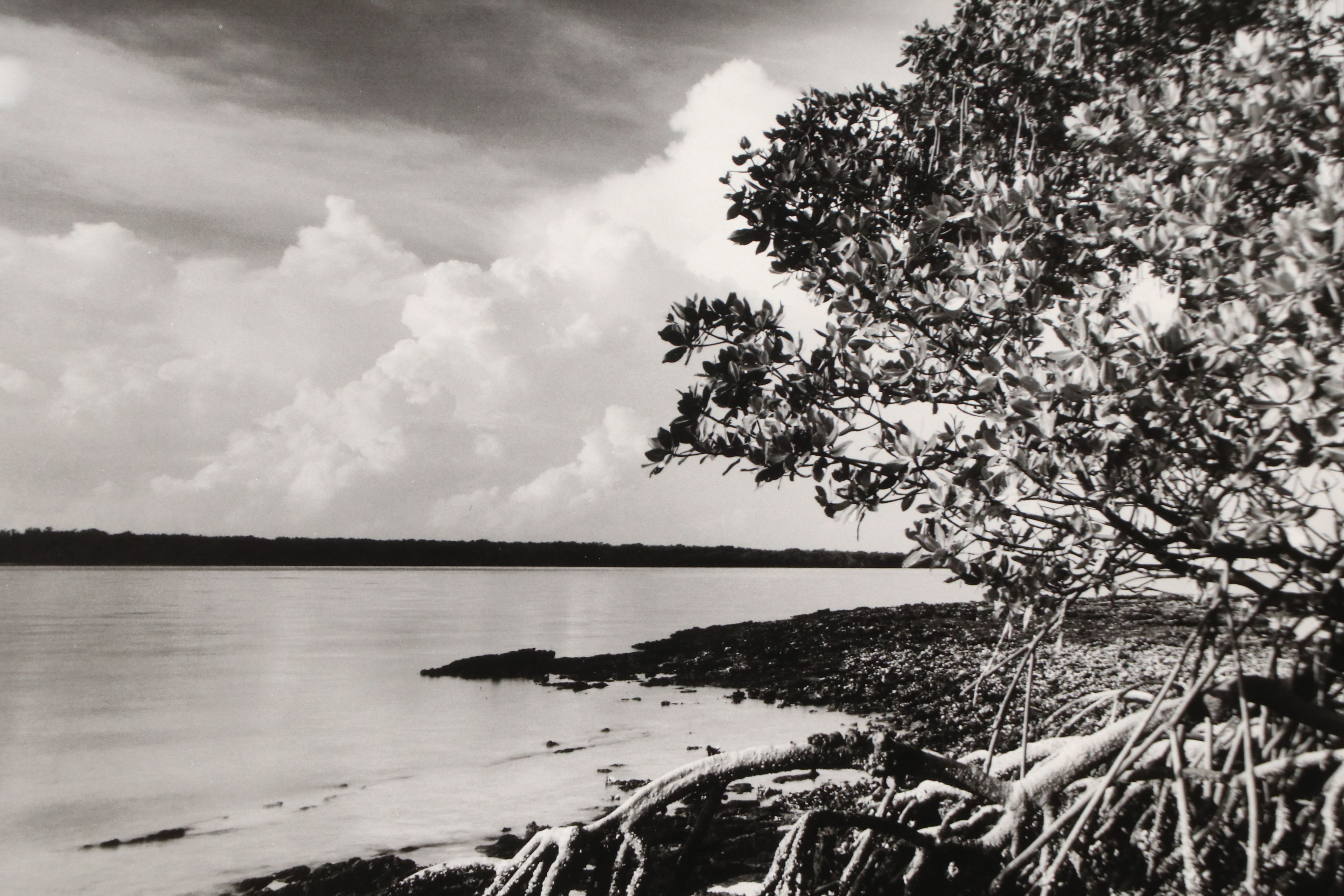 Clyde Butcher Offset Lithograph "Florida Bay," 21st Century