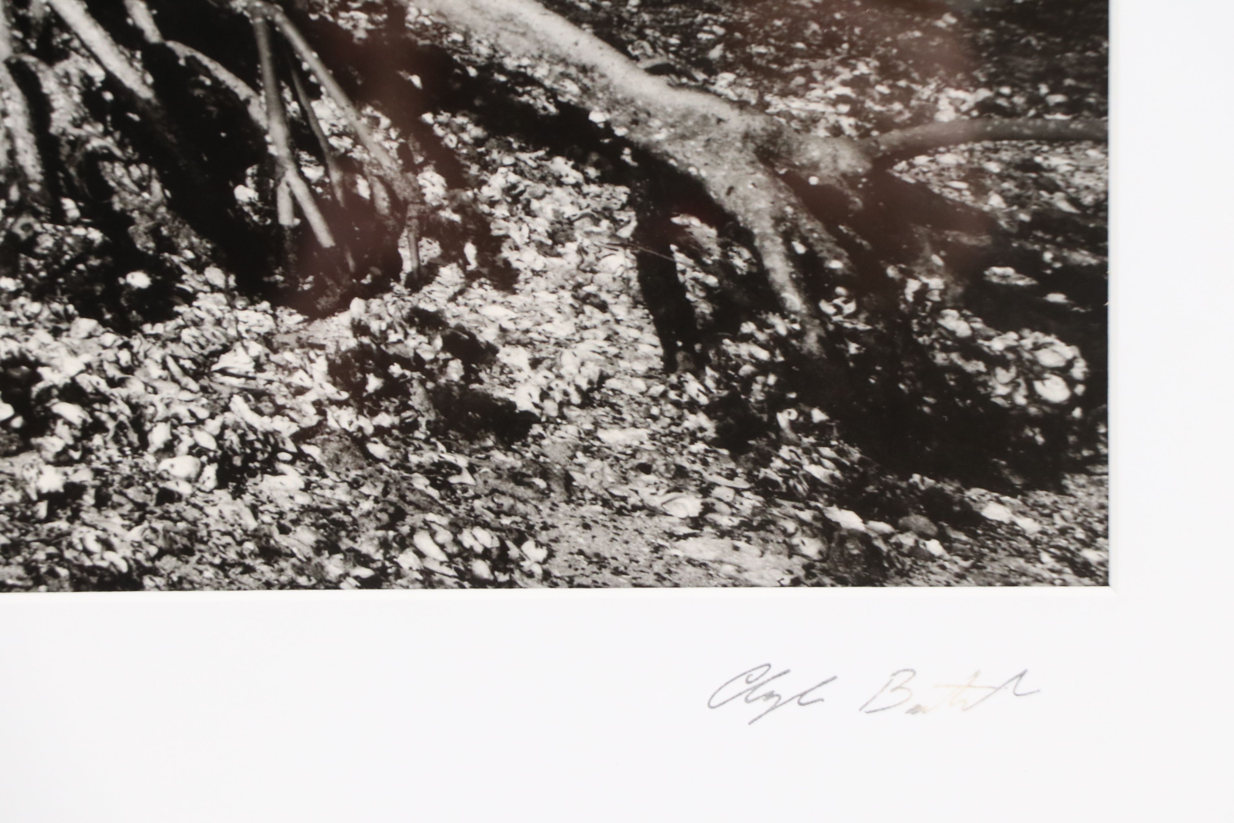 Clyde Butcher Offset Lithograph "Florida Bay," 21st Century