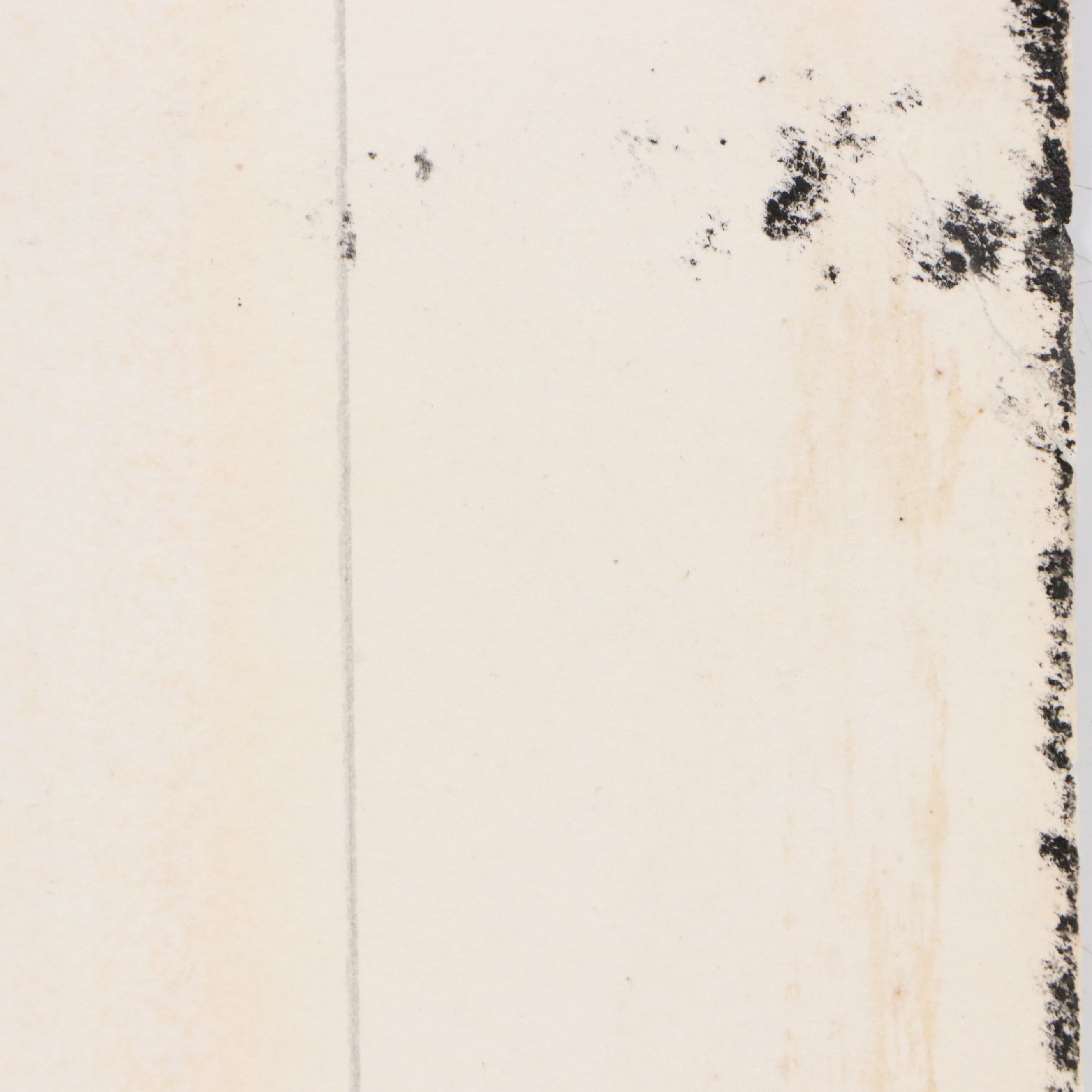 Havell Edition John James Audubon Colored Etching "Shoveller Duck," 1836-7