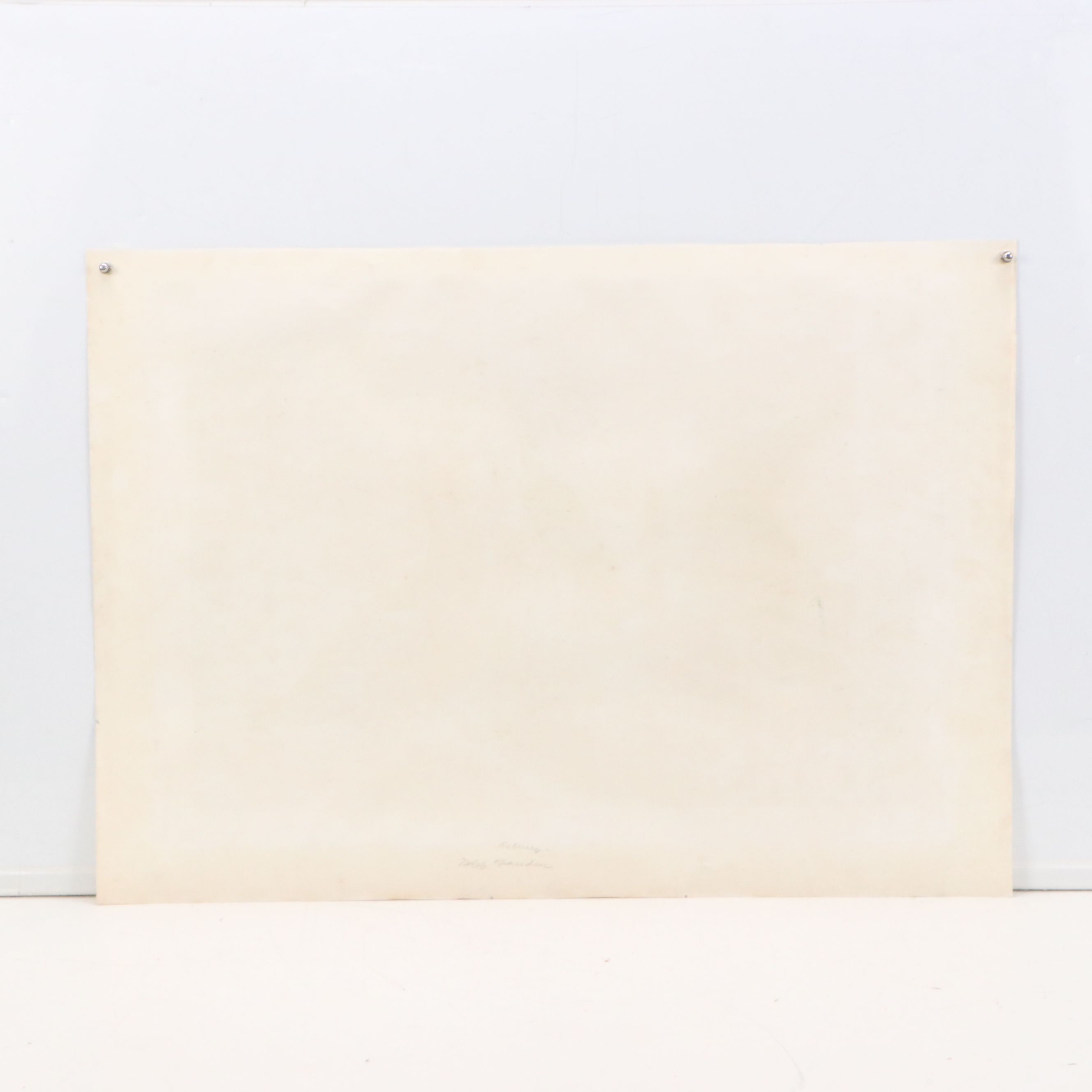 Havell Edition John James Audubon Colored Etching "Shoveller Duck," 1836-7