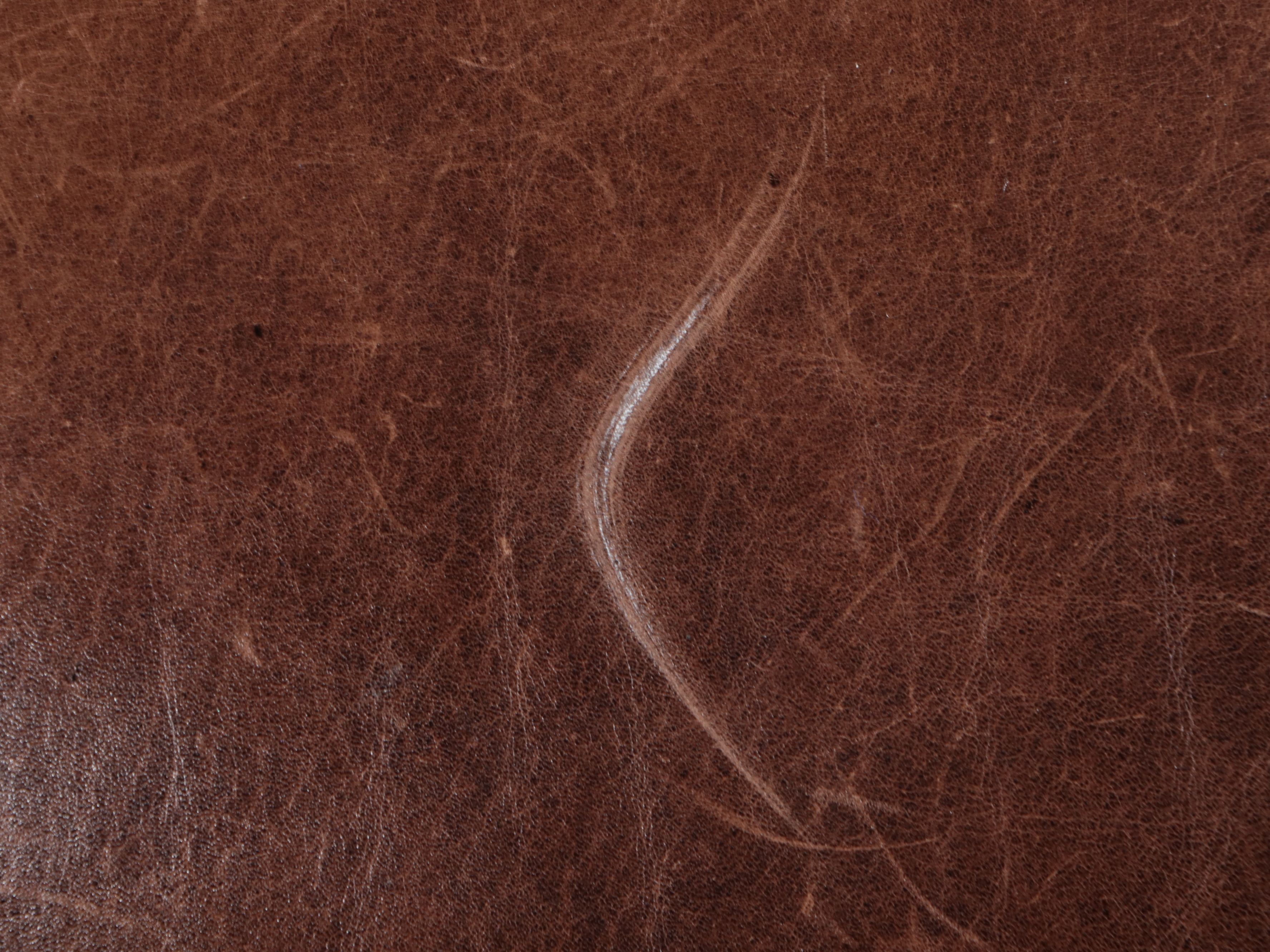 Richter Furniture Brown Leather Club Chair