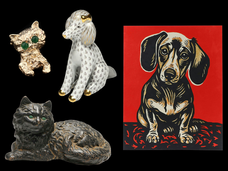 The Great Indoors: A World Wildlife Day Tribute to Our Pets