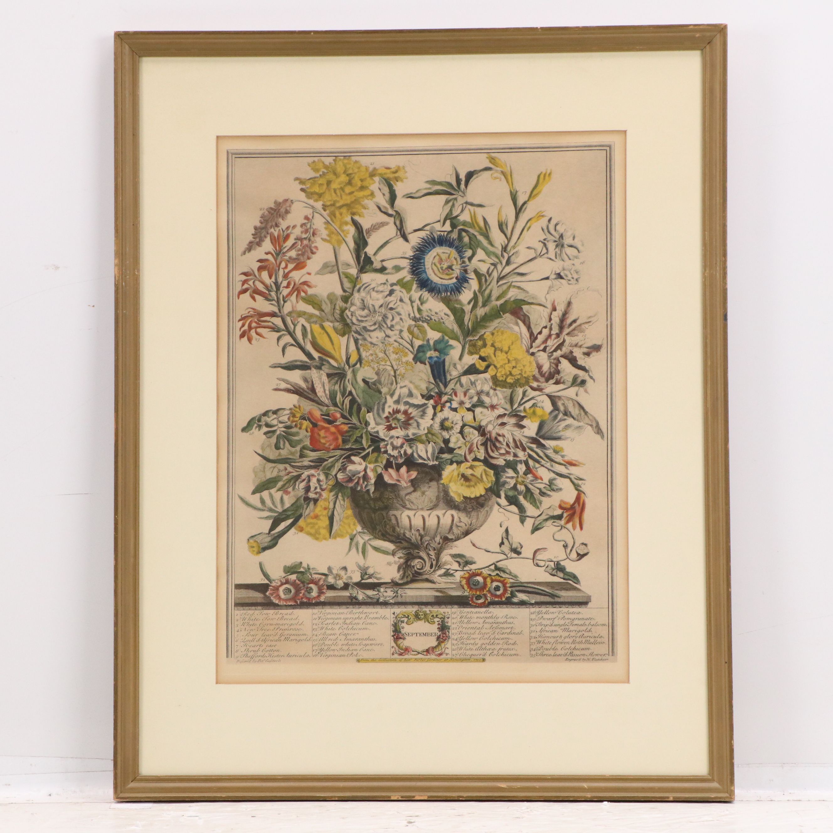 Botanical Hand-Colored Collotypes After Robert Furber "July" and "September"