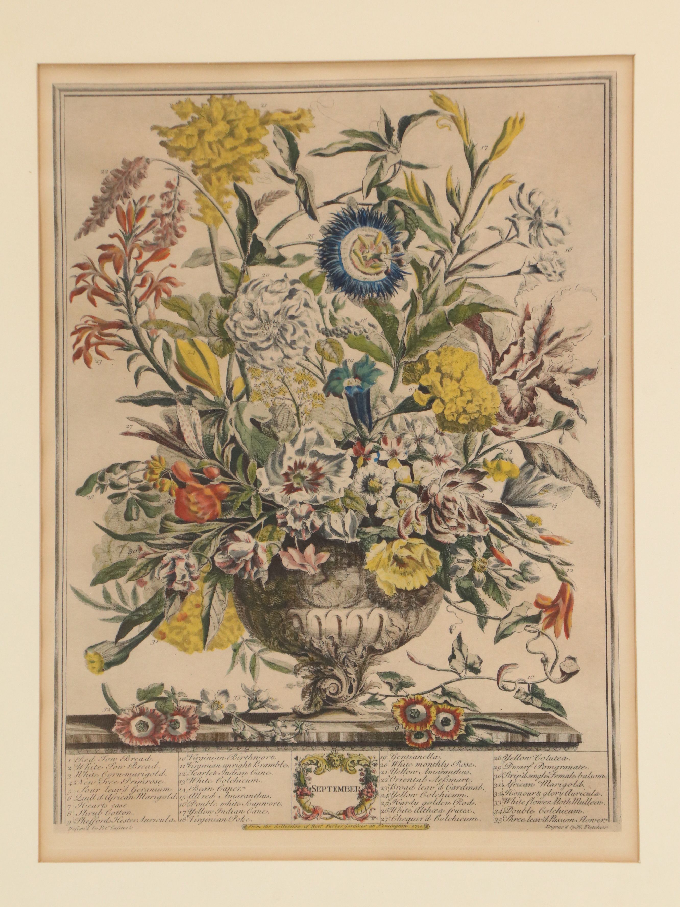 Botanical Hand-Colored Collotypes After Robert Furber "July" and "September"
